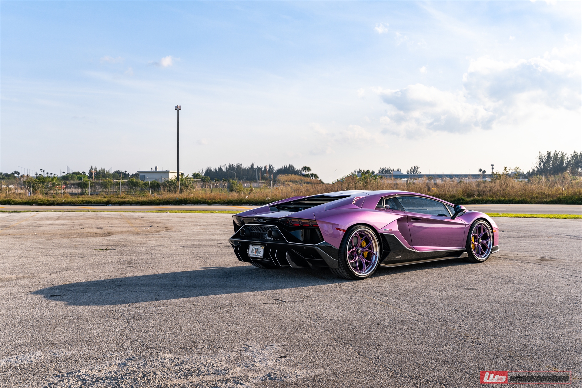 Lamborghini Aventador Ultimae | | on ANRKY S3-X0 | PPG Color Matched SE30 Viola