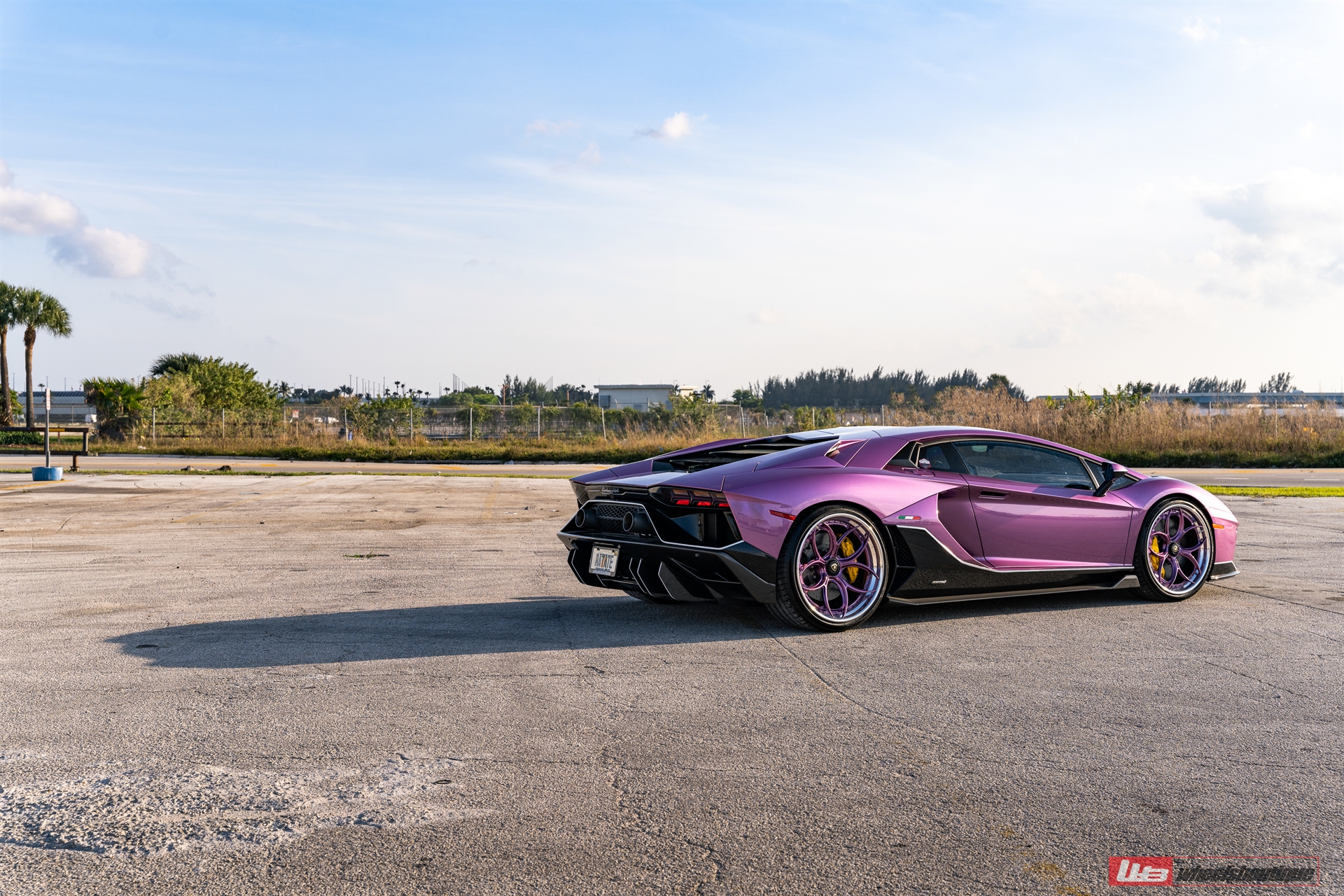 Lamborghini Aventador Ultimae | | on ANRKY S3-X0 | PPG Color Matched SE30 Viola