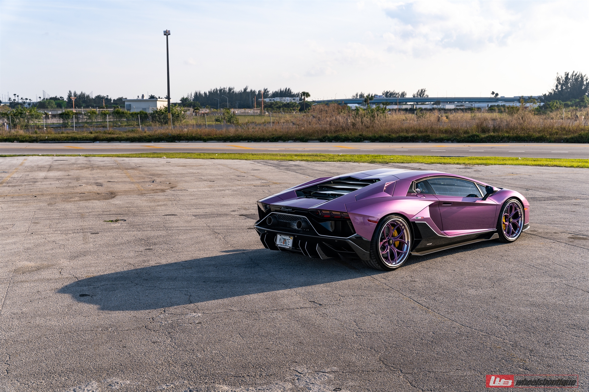 Lamborghini Aventador Ultimae | | on ANRKY S3-X0 | PPG Color Matched SE30 Viola