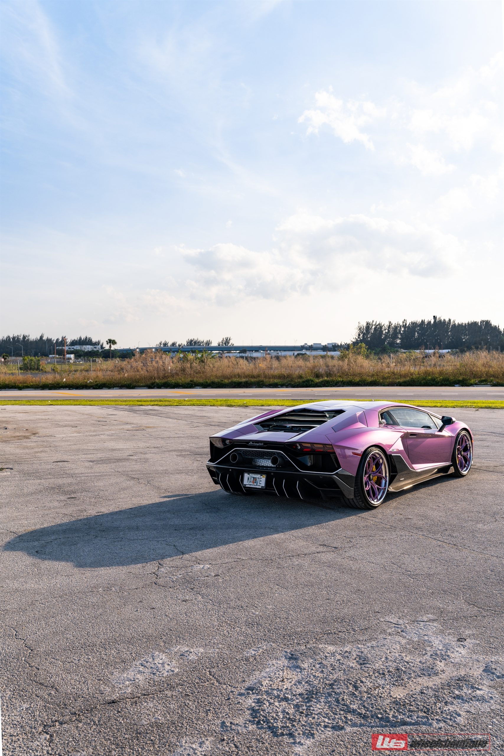 Lamborghini Aventador Ultimae | | on ANRKY S3-X0 | PPG Color Matched SE30 Viola