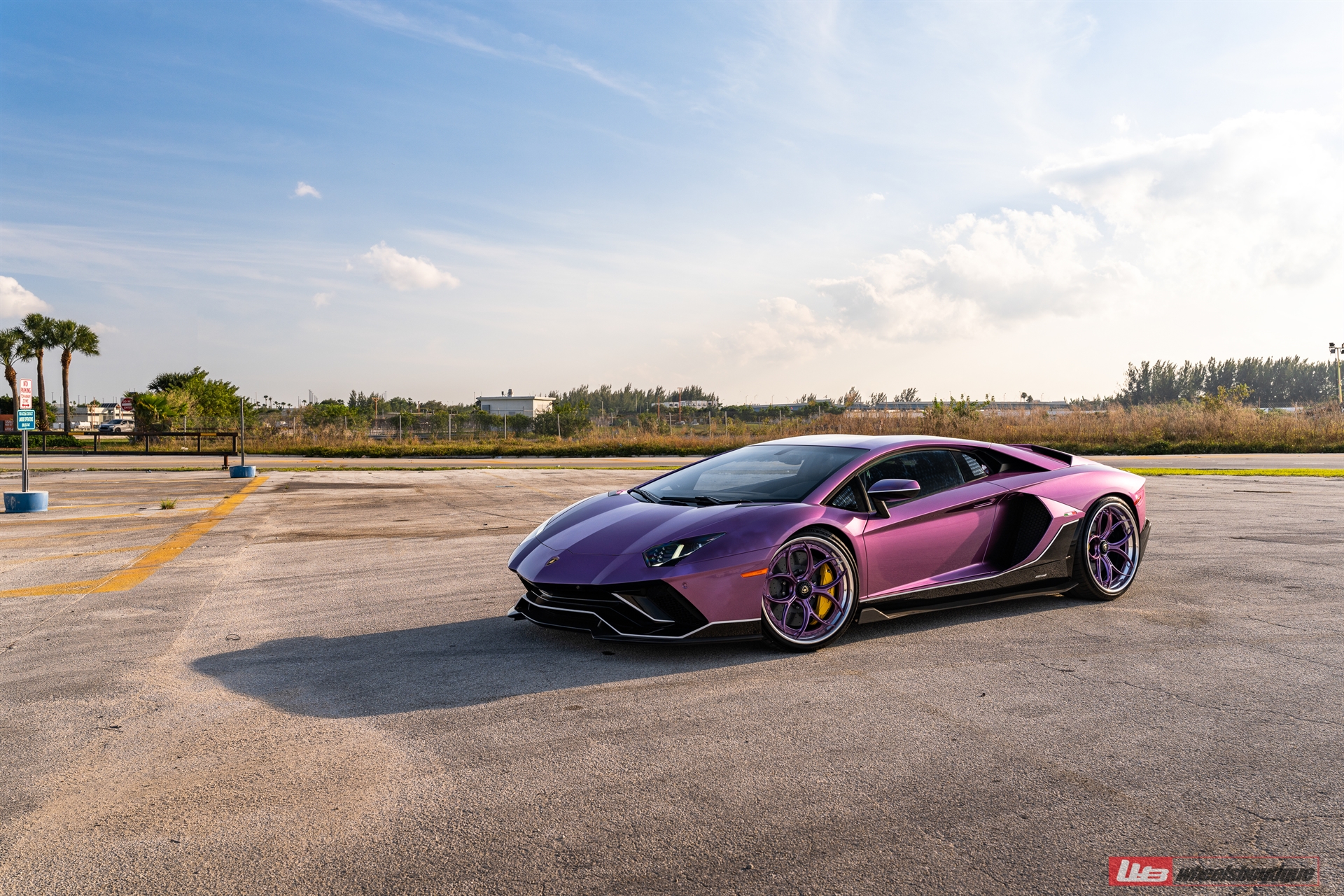 Lamborghini Aventador Ultimae | | on ANRKY S3-X0 | PPG Color Matched SE30 Viola