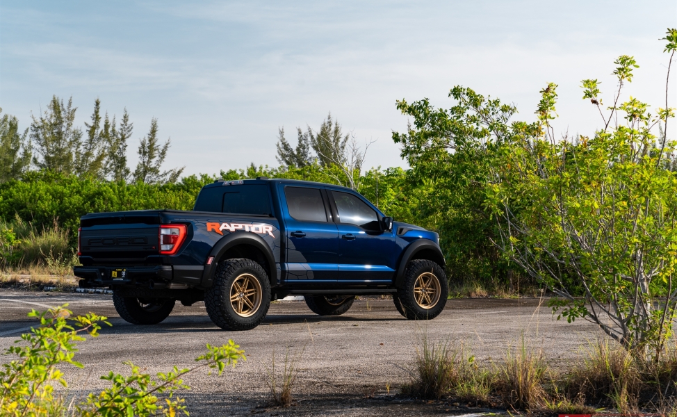 ANRKY AN36-O | Ford Raptor R