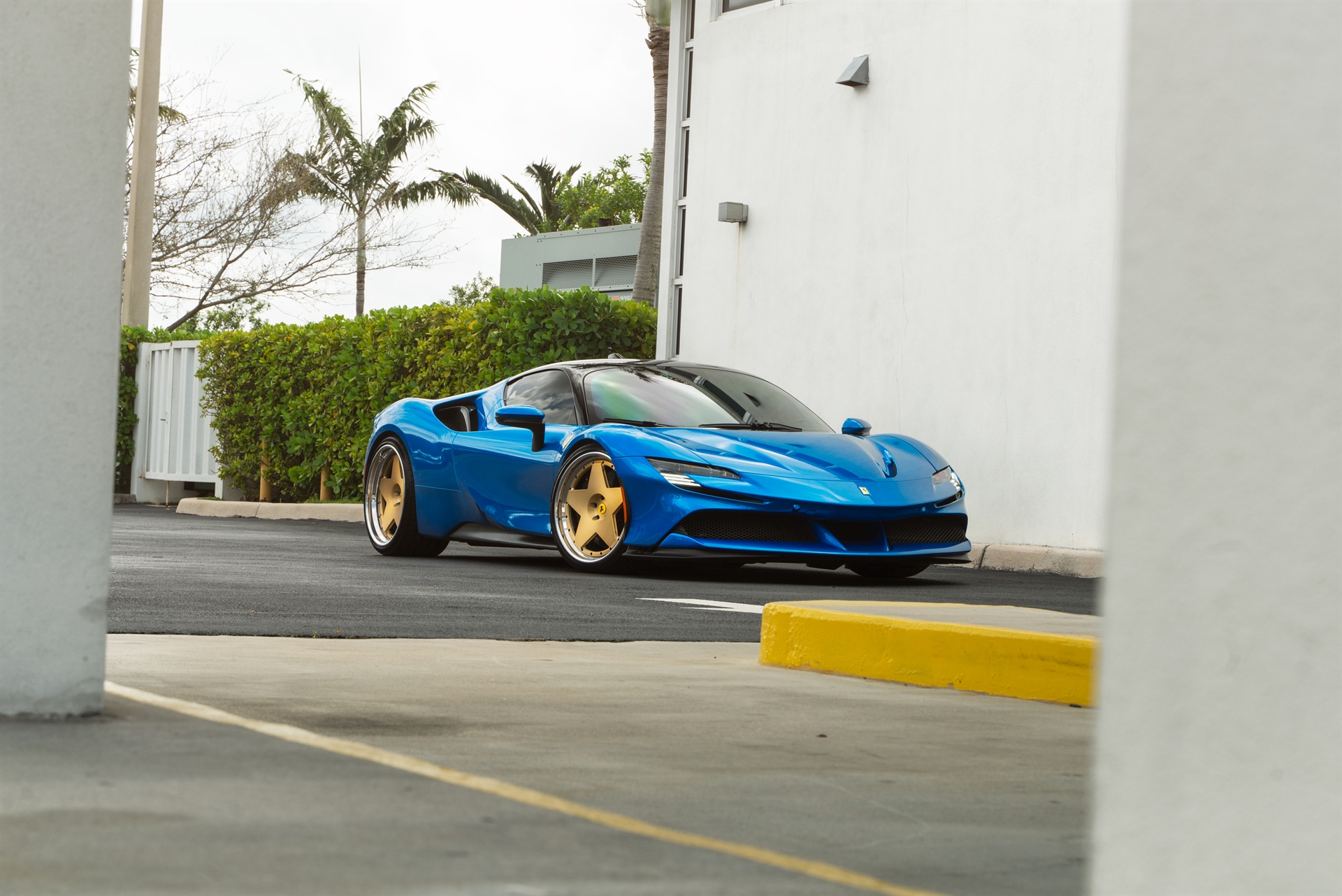 Ferrari SF90 | Blu Corsa | on 1886 S008 | Brushed Gold