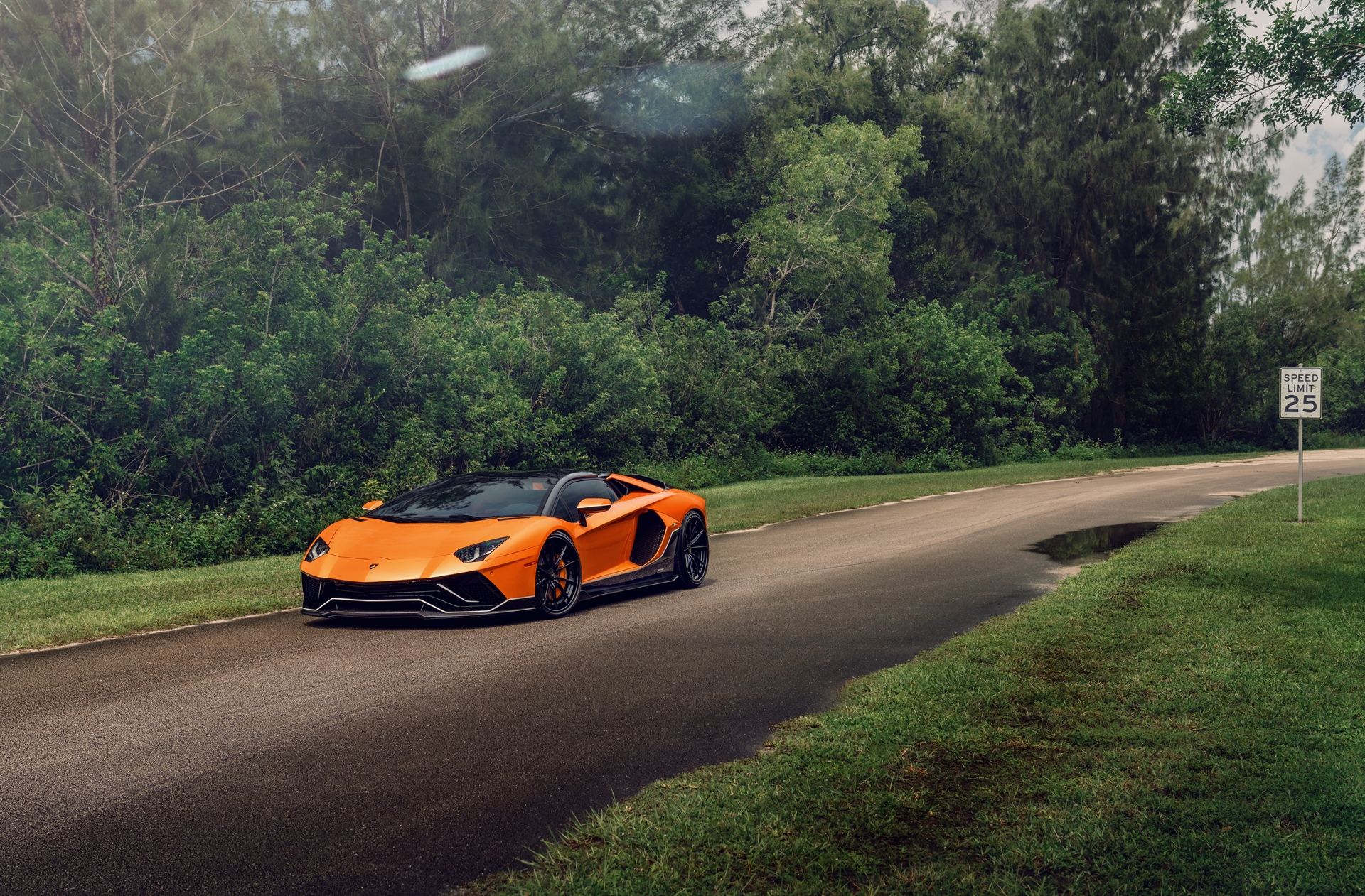 Lamborghini Aventador Ultimae | | on 1886 G010 | Satin Black