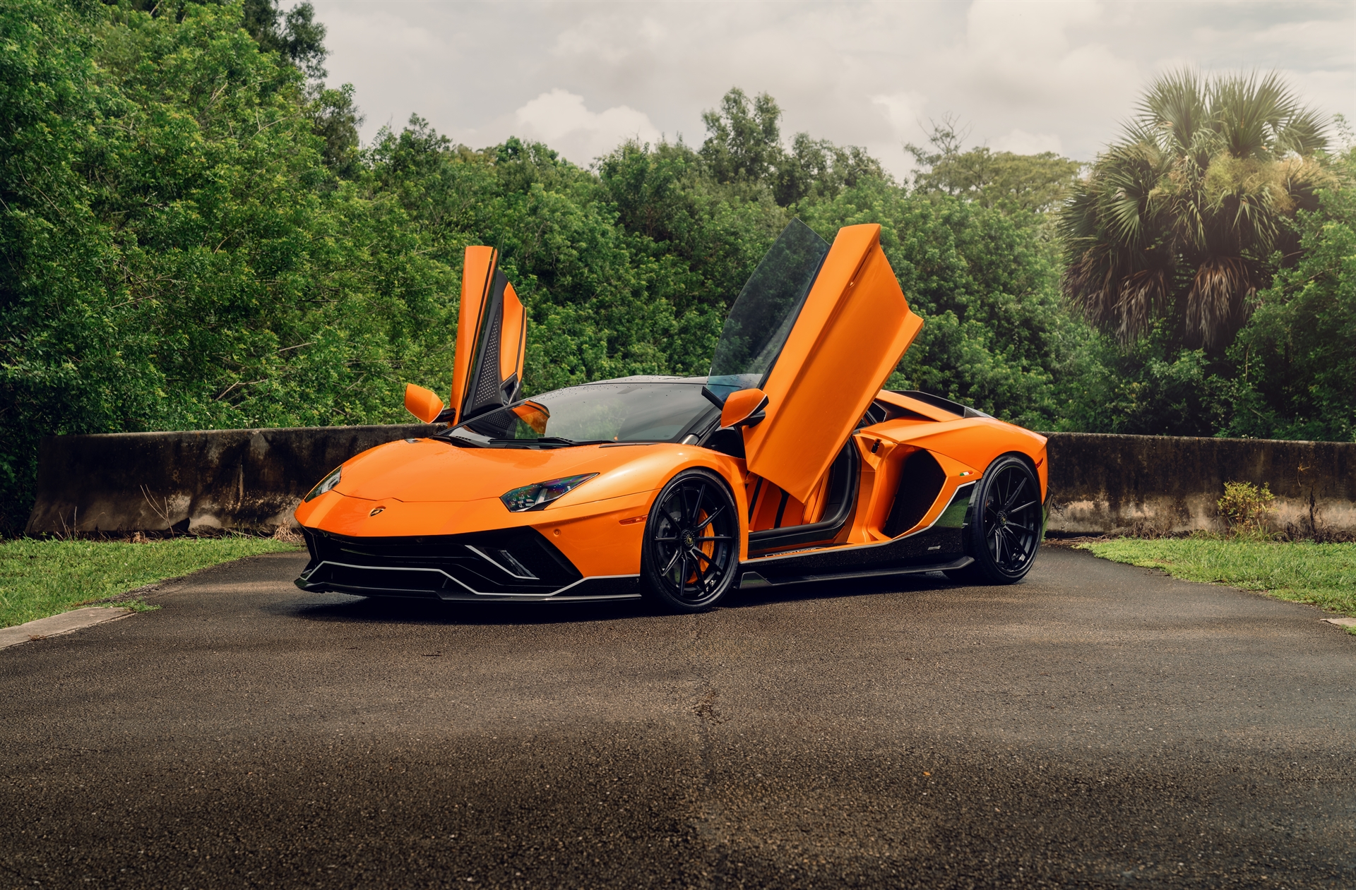 Lamborghini Aventador Ultimae | | on 1886 G010 | Satin Black