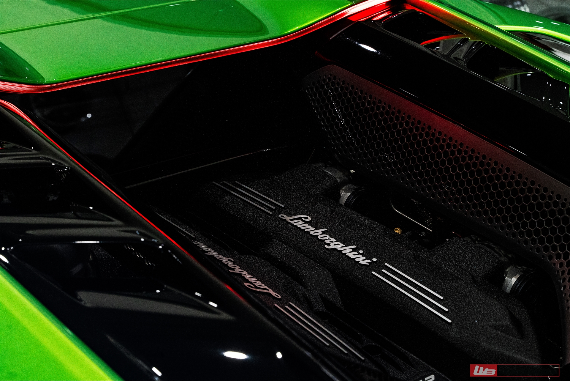 Lamborghini Revuelto | Selvan Green | on ANRKY  AN20 + AN20 AeroSPORT | Gloss Black