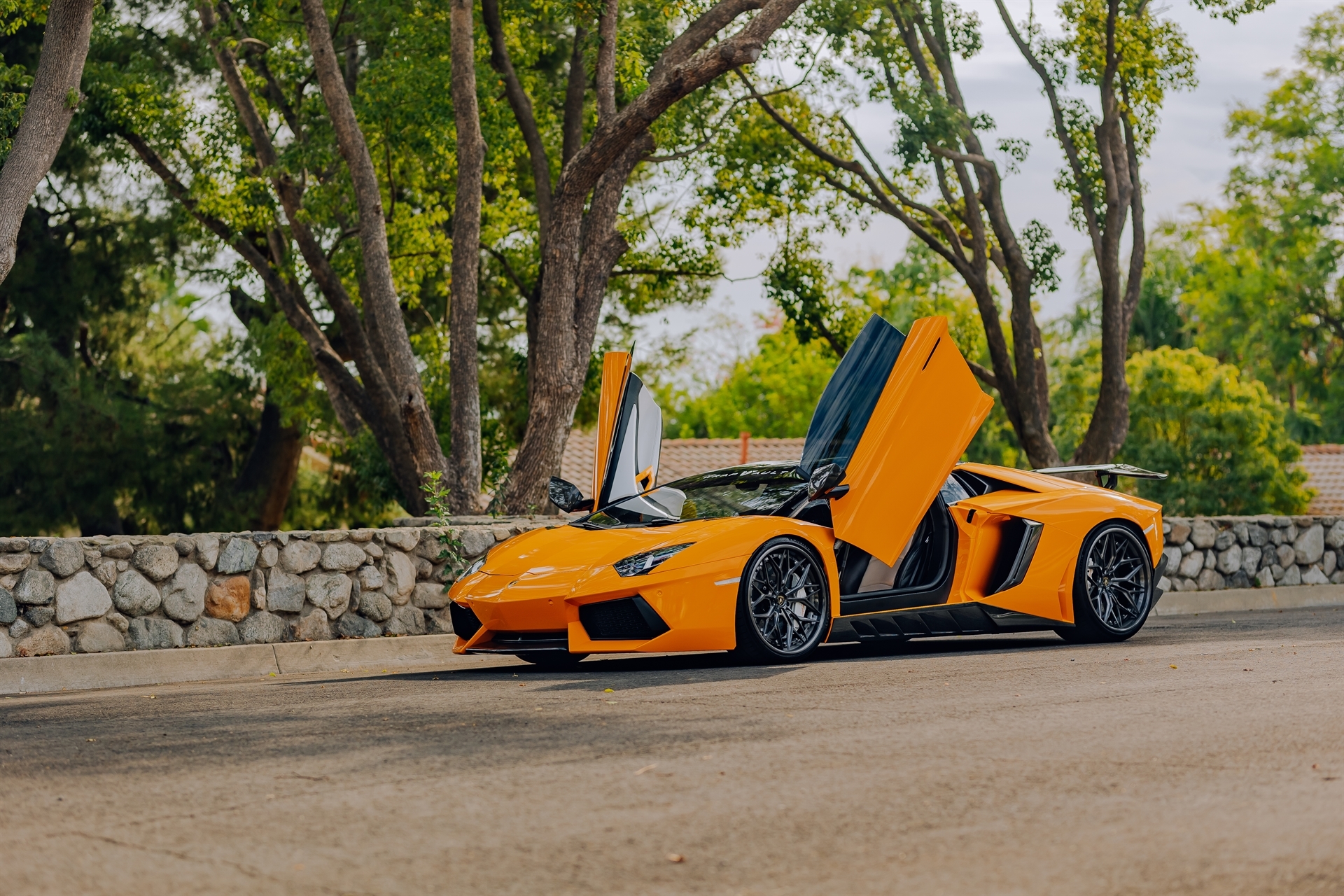 Novitec: Aventador Roadster | | on AL13 R80 | Gloss Gunmetal