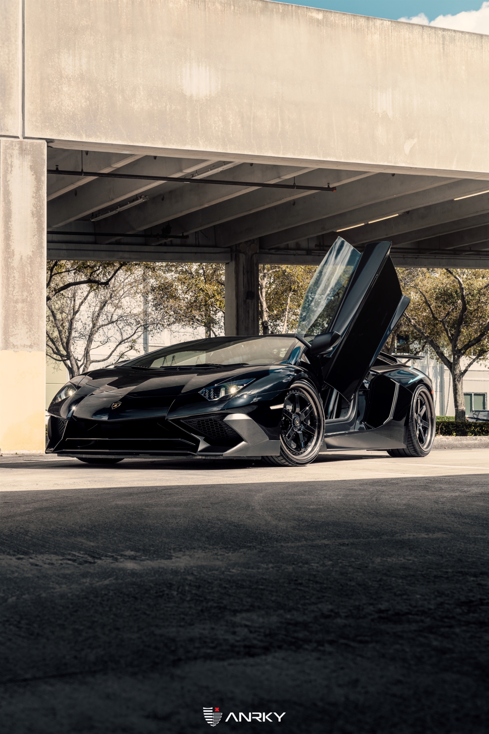 Lamborghini Aventador SV Roadster | Nero Noctis | on ANRKY JDX-316 | Gloss Black