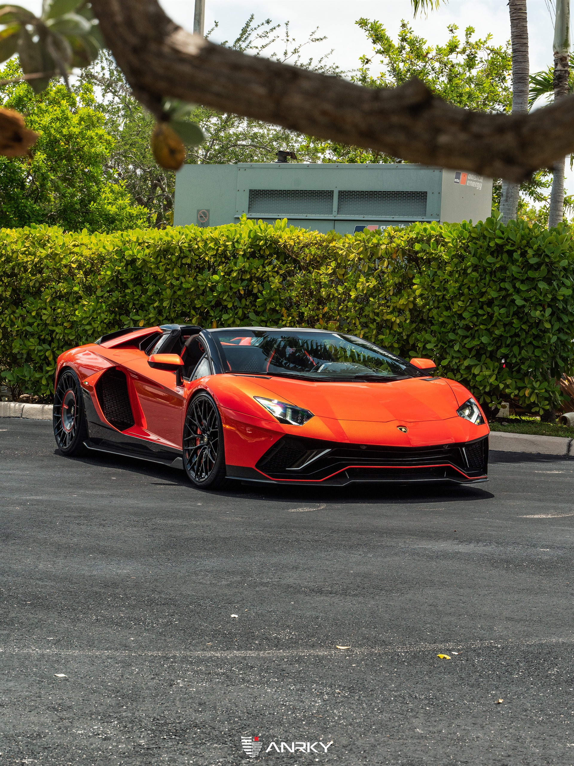 Lamborghini Aventador Ultimae Roadster | | on ANRKY AN20 + AN20 AEROSport | Gloss Black
