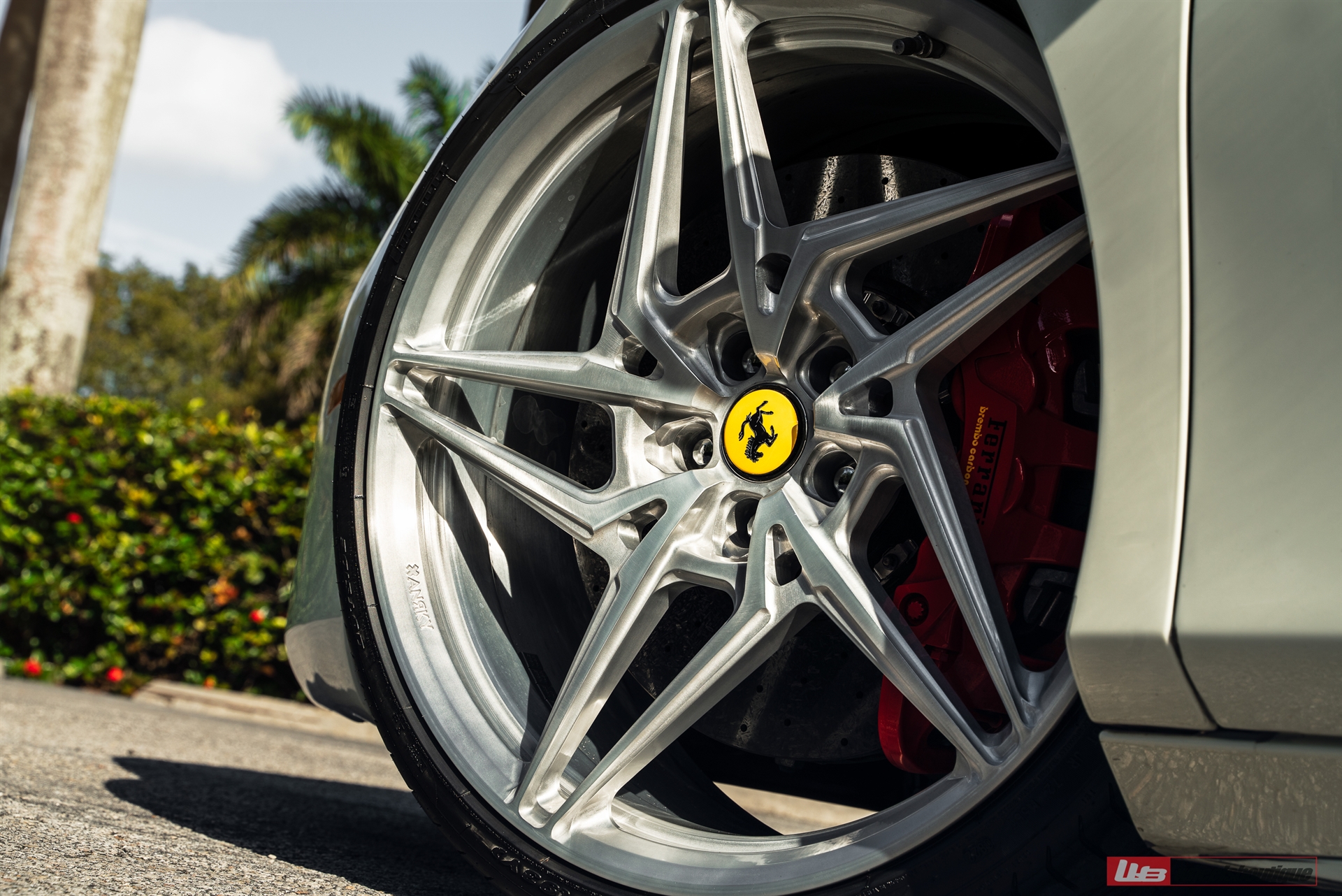 Ferrari 488 | Bianco Fuji | on ANRKY S1-X3 | Brushed Clear