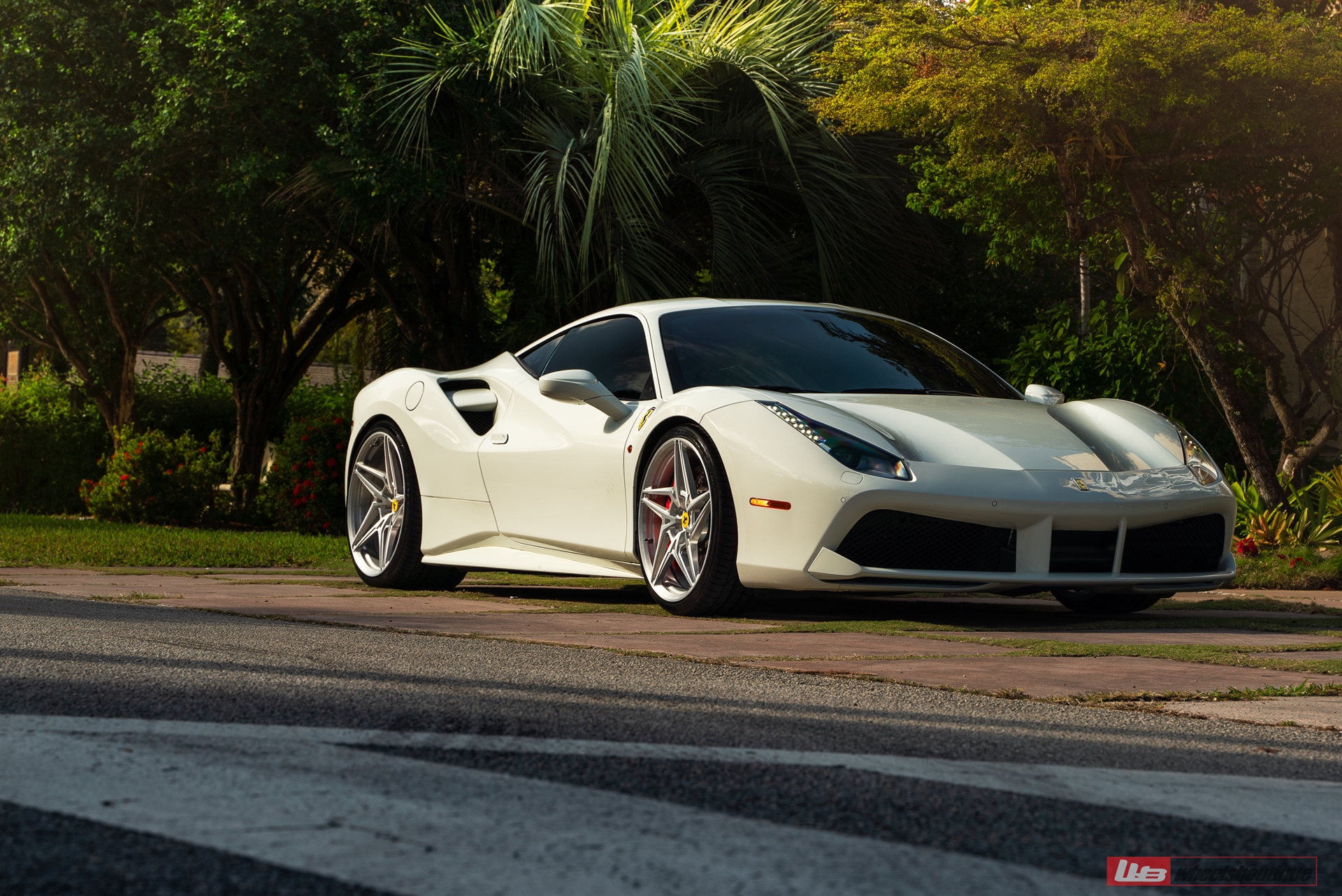 Ferrari 488 | Bianco Fuji | on ANRKY S1-X3 | Brushed Clear