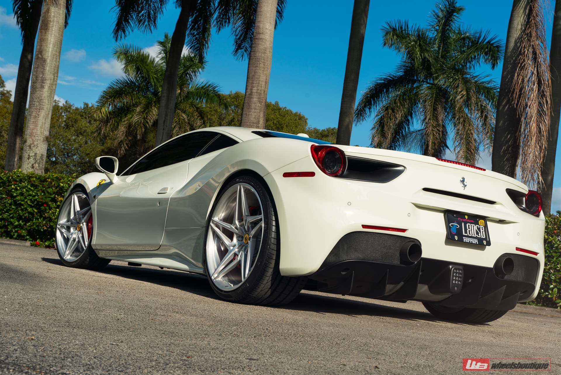 Ferrari 488 | Bianco Fuji | on ANRKY S1-X3 | Brushed Clear