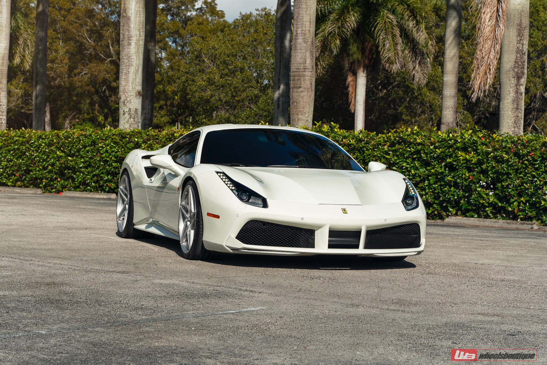 Ferrari 488 | Bianco Fuji | on ANRKY S1-X3 | Brushed Clear