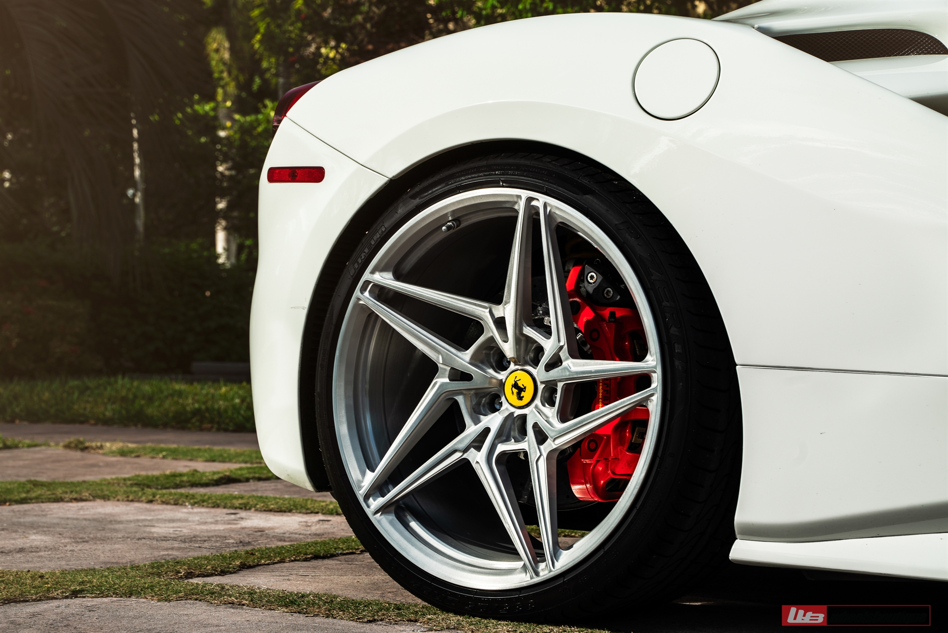 Ferrari 488 | Bianco Fuji | on ANRKY S1-X3 | Brushed Clear