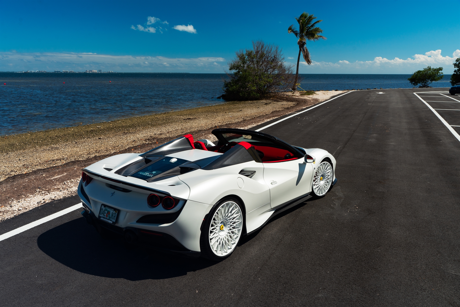 Novitec F8 Spider | Bianco Avus | on ANRKY RS7.3 | Gloss White