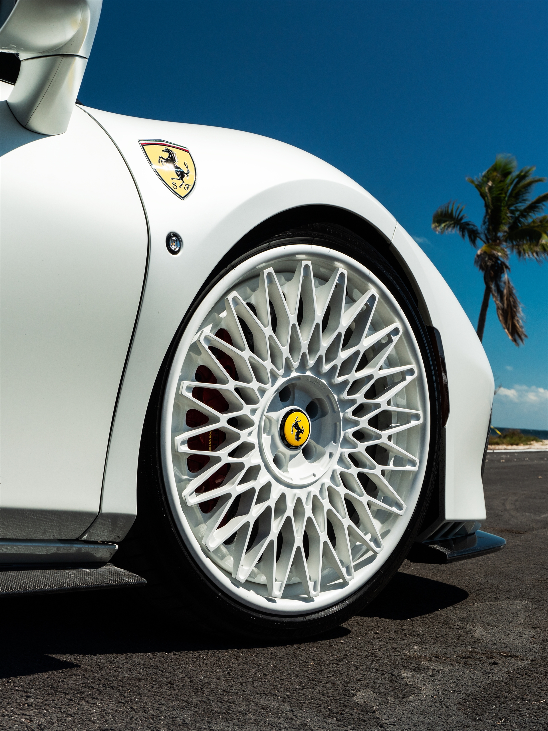 Novitec F8 Spider | Bianco Avus | on ANRKY RS7.3 | Gloss White