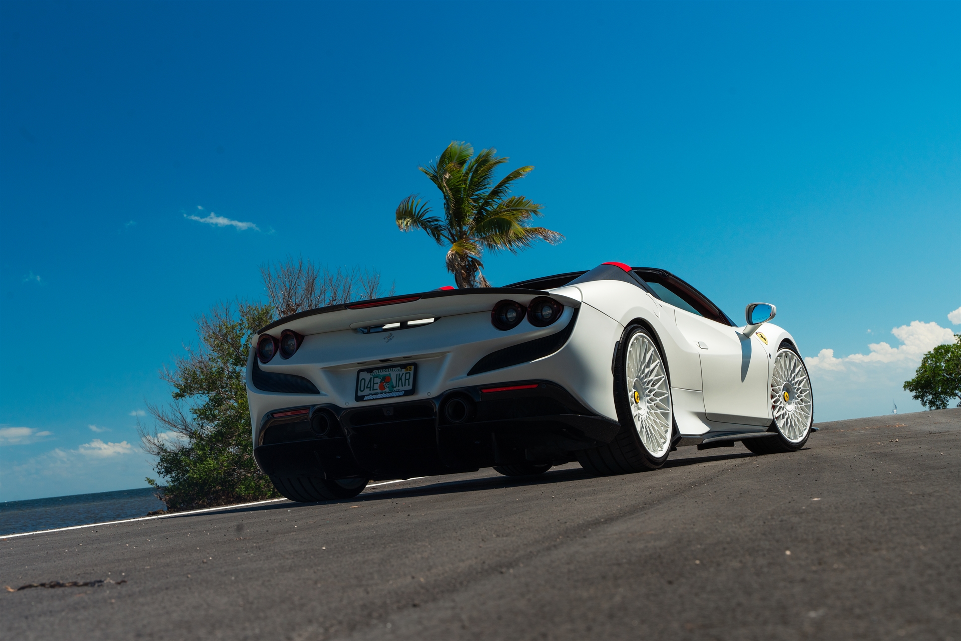 Novitec F8 Spider | Bianco Avus | on ANRKY RS7.3 | Gloss White