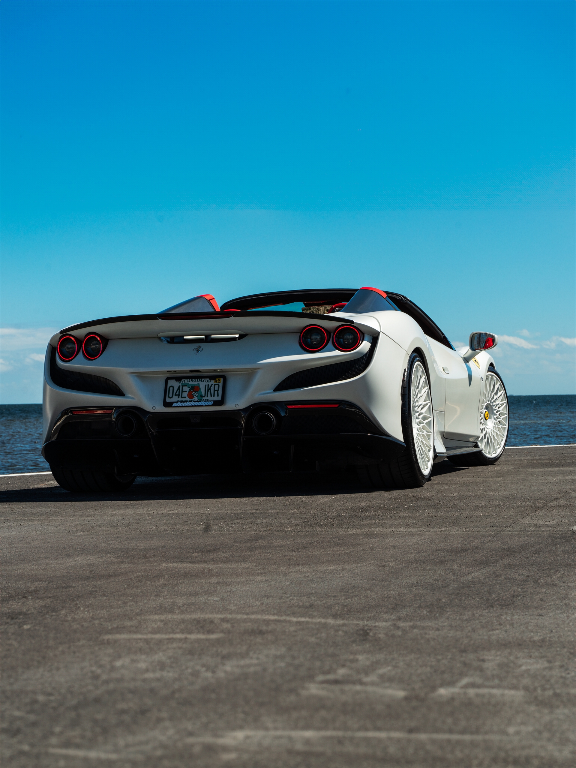 Novitec F8 Spider | Bianco Avus | on ANRKY RS7.3 | Gloss White