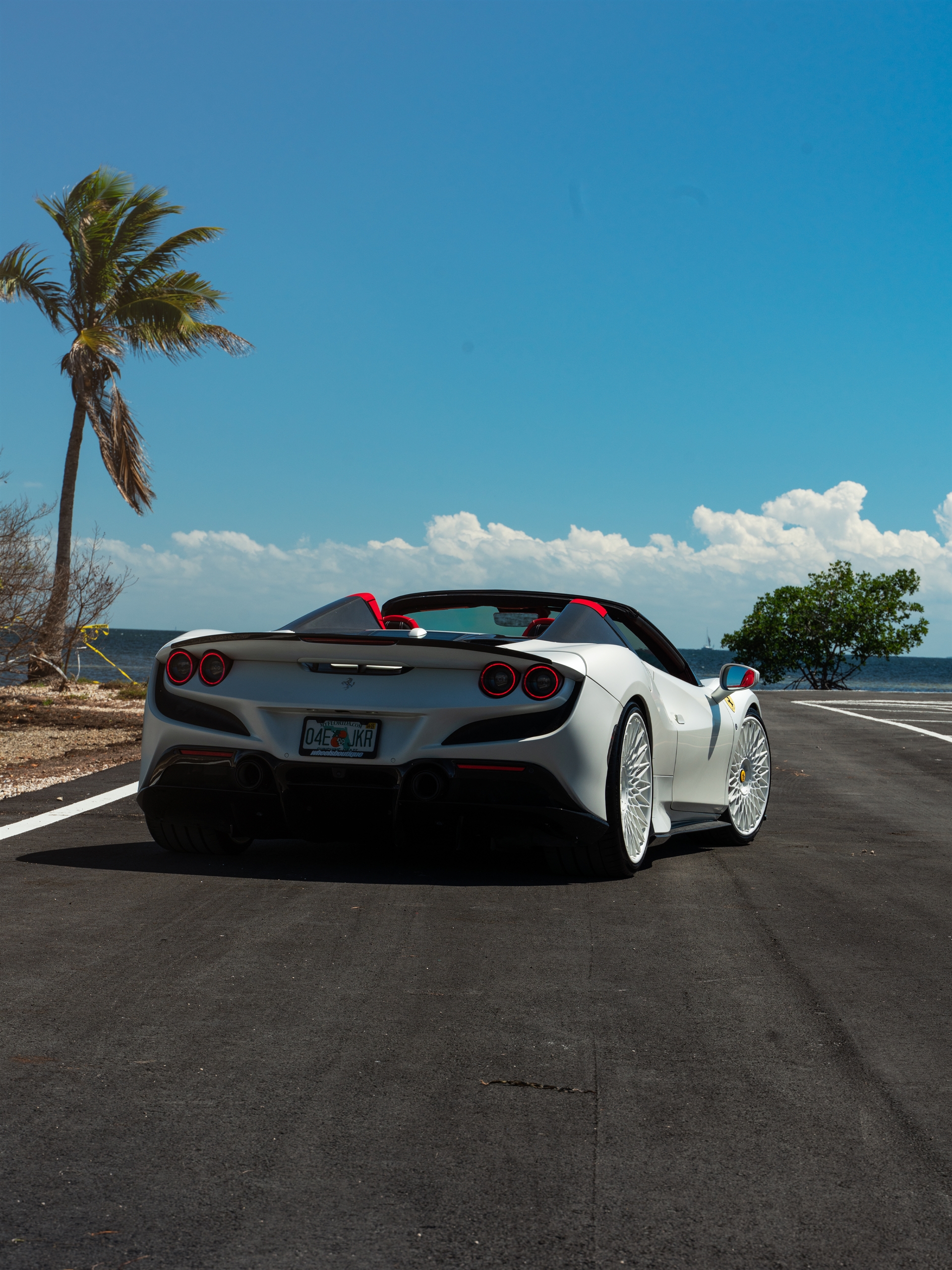 Novitec F8 Spider | Bianco Avus | on ANRKY RS7.3 | Gloss White