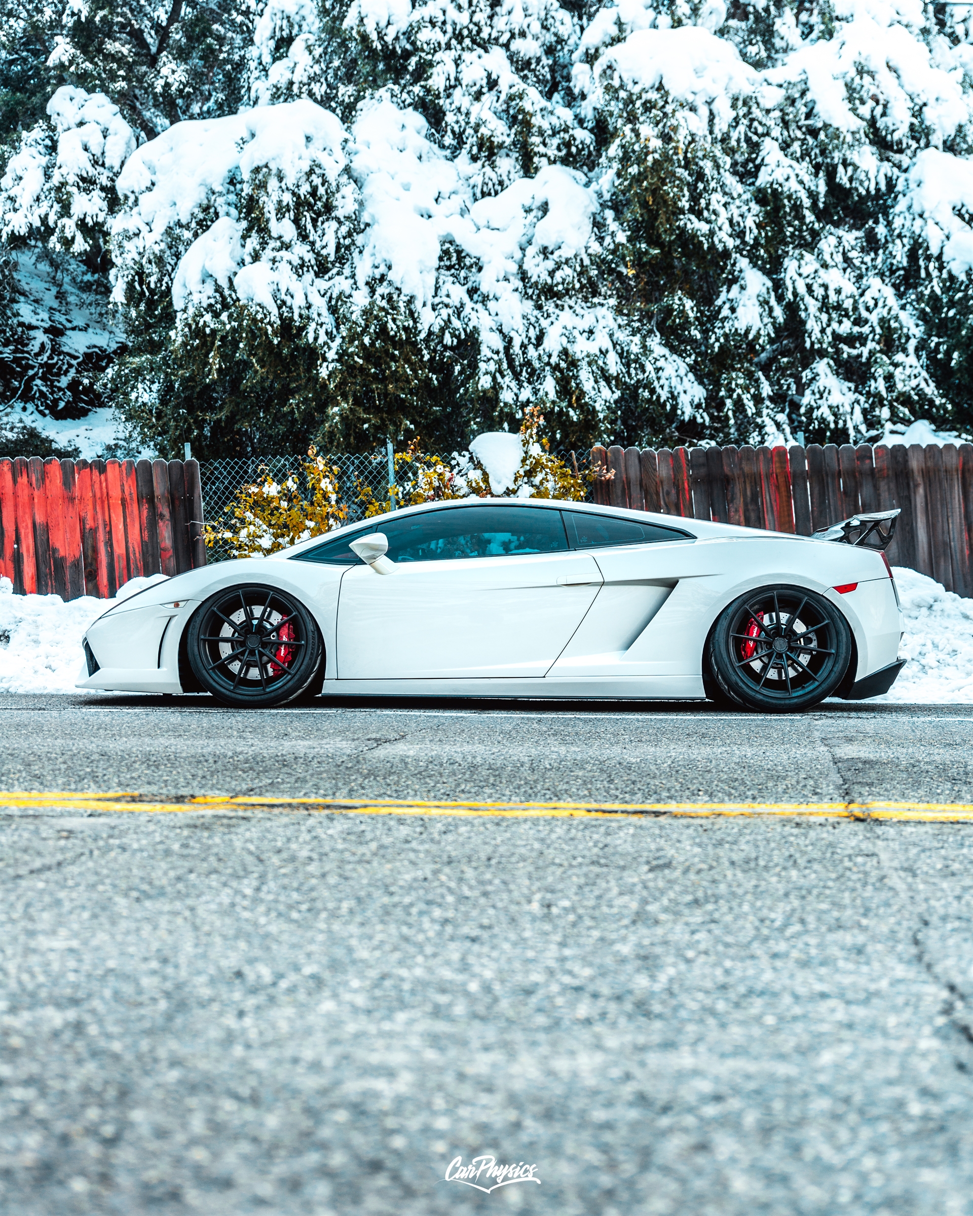 Lamborghini Gallardo | | on ANRKY AN18 | Satin Black