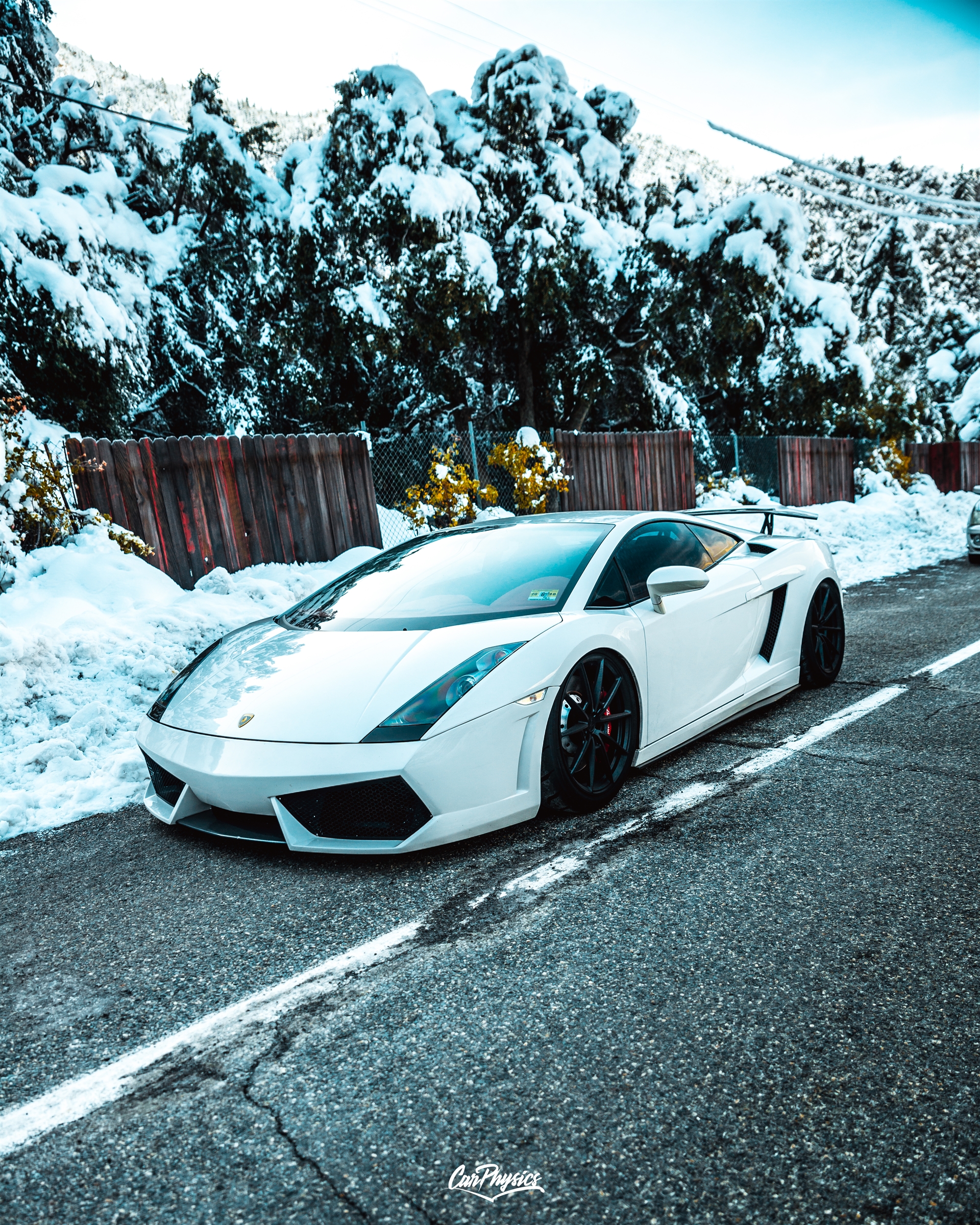 Lamborghini Gallardo | | on ANRKY AN18 | Satin Black