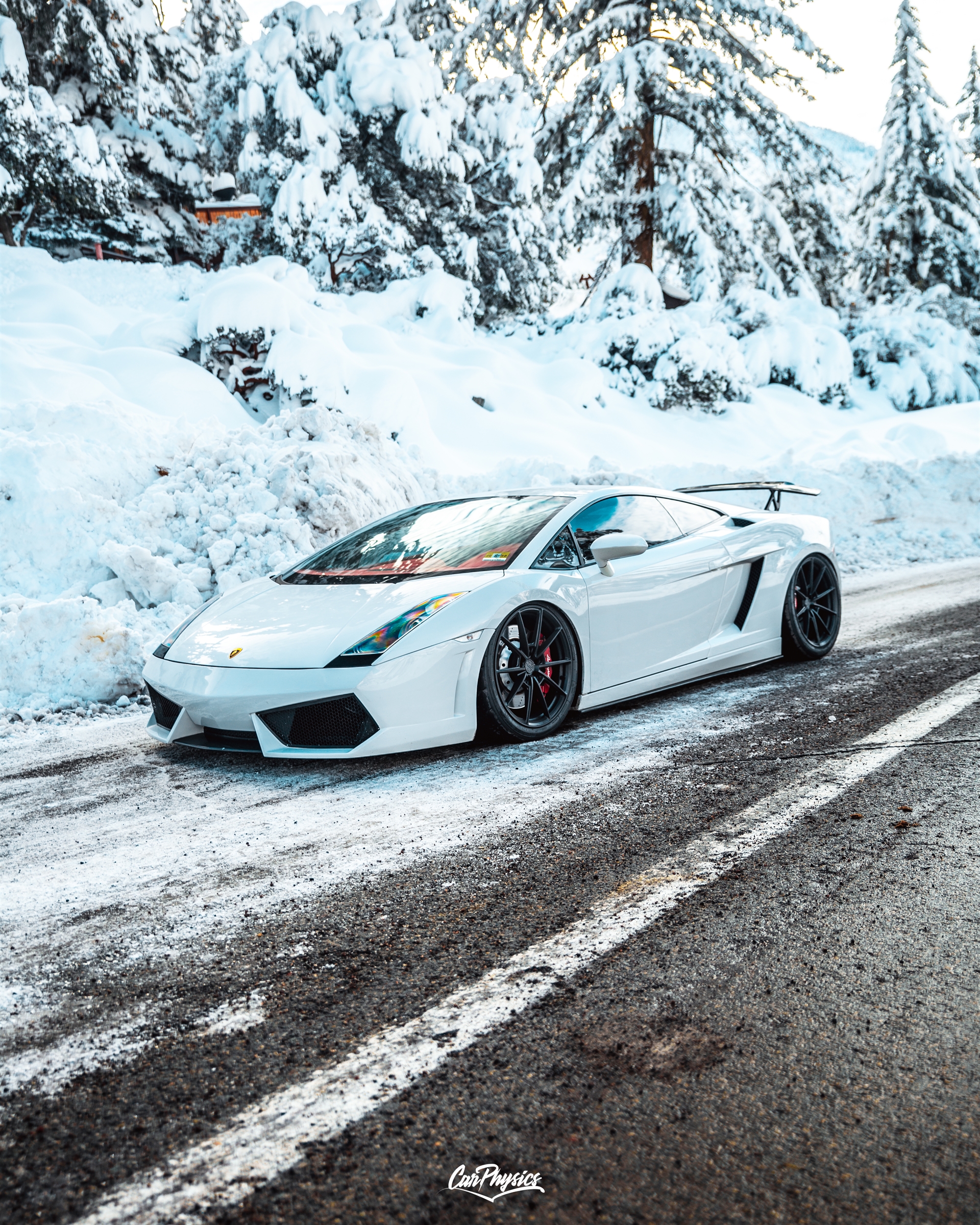 Lamborghini Gallardo | | on ANRKY AN18 | Satin Black