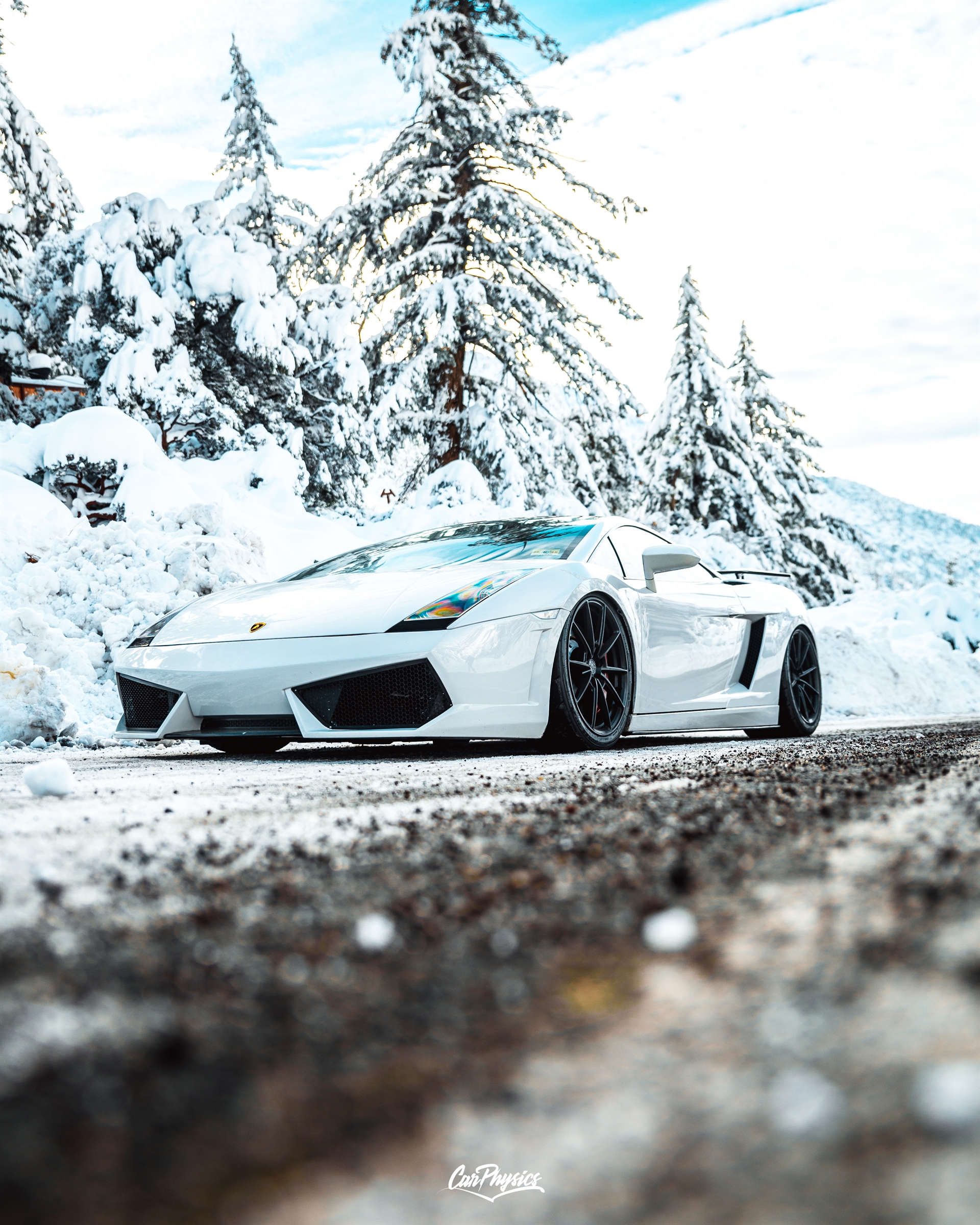 Lamborghini Gallardo | | on ANRKY AN18 | Satin Black