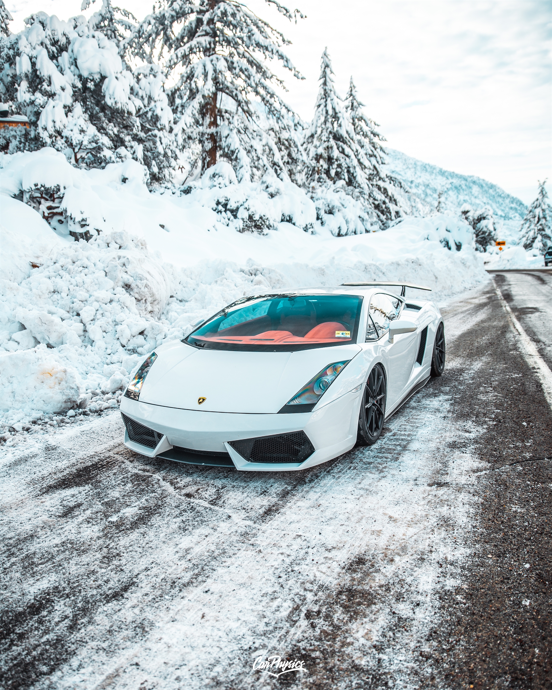 Lamborghini Gallardo | | on ANRKY AN18 | Satin Black