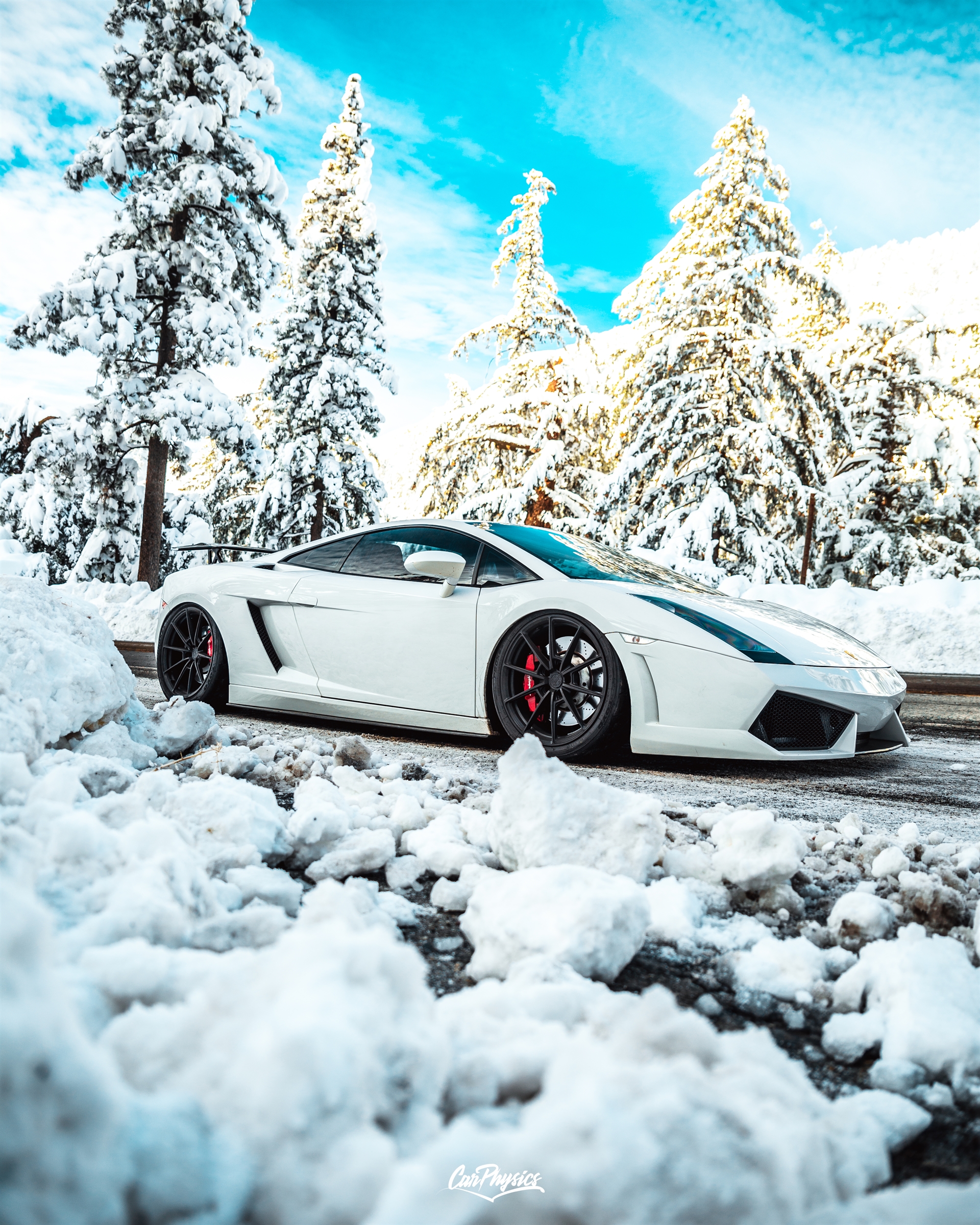 Lamborghini Gallardo | | on ANRKY AN18 | Satin Black