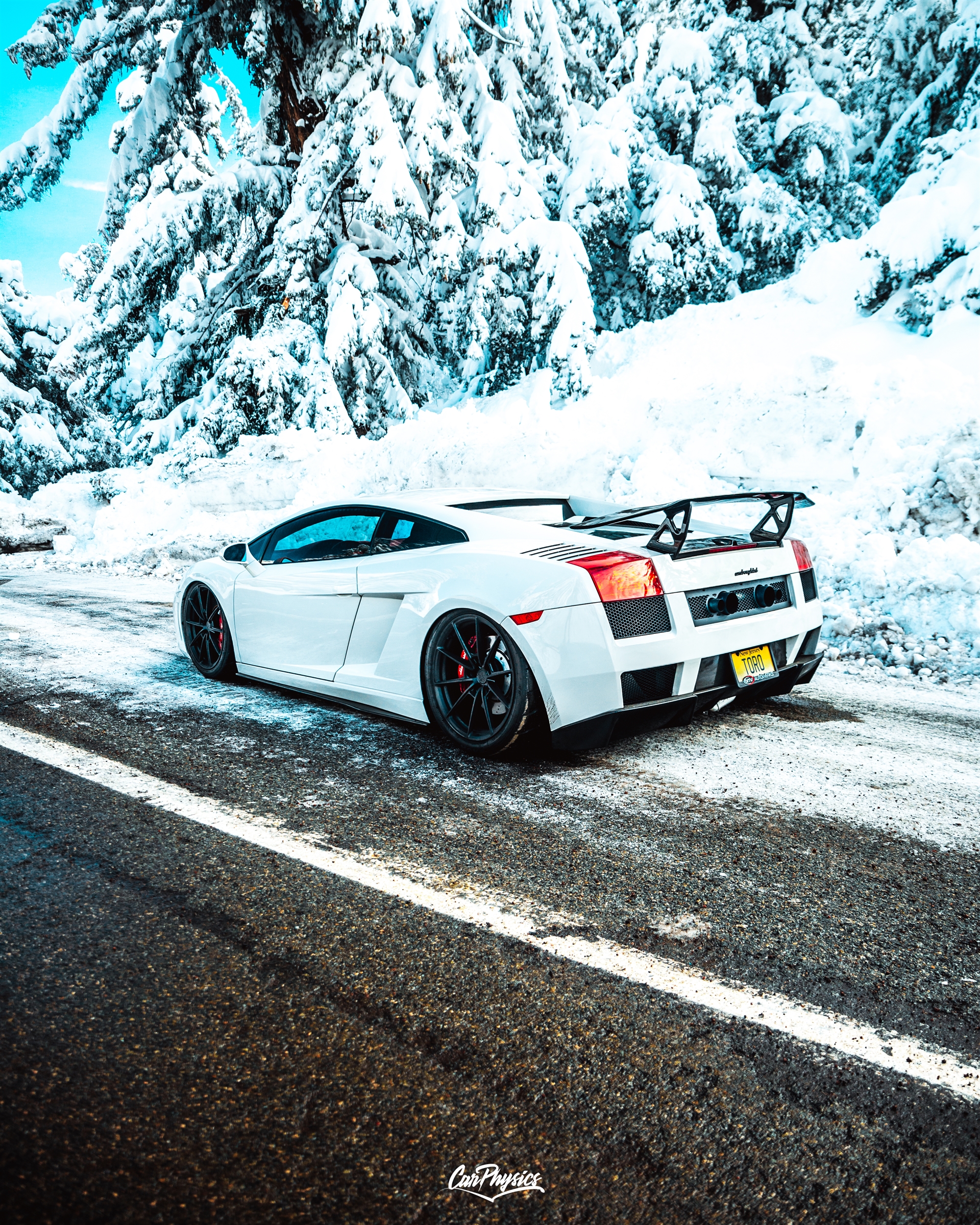Lamborghini Gallardo | | on ANRKY AN18 | Satin Black