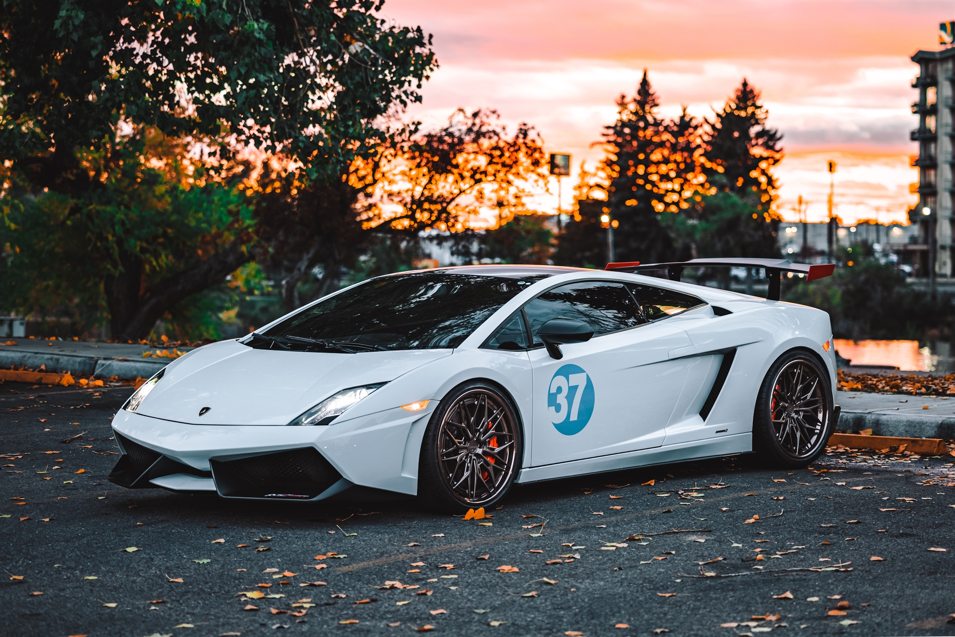 Lamborghini Gallardo Super Trofeo Stradale | | on ANRKY S3-X3 | Satin Bronze