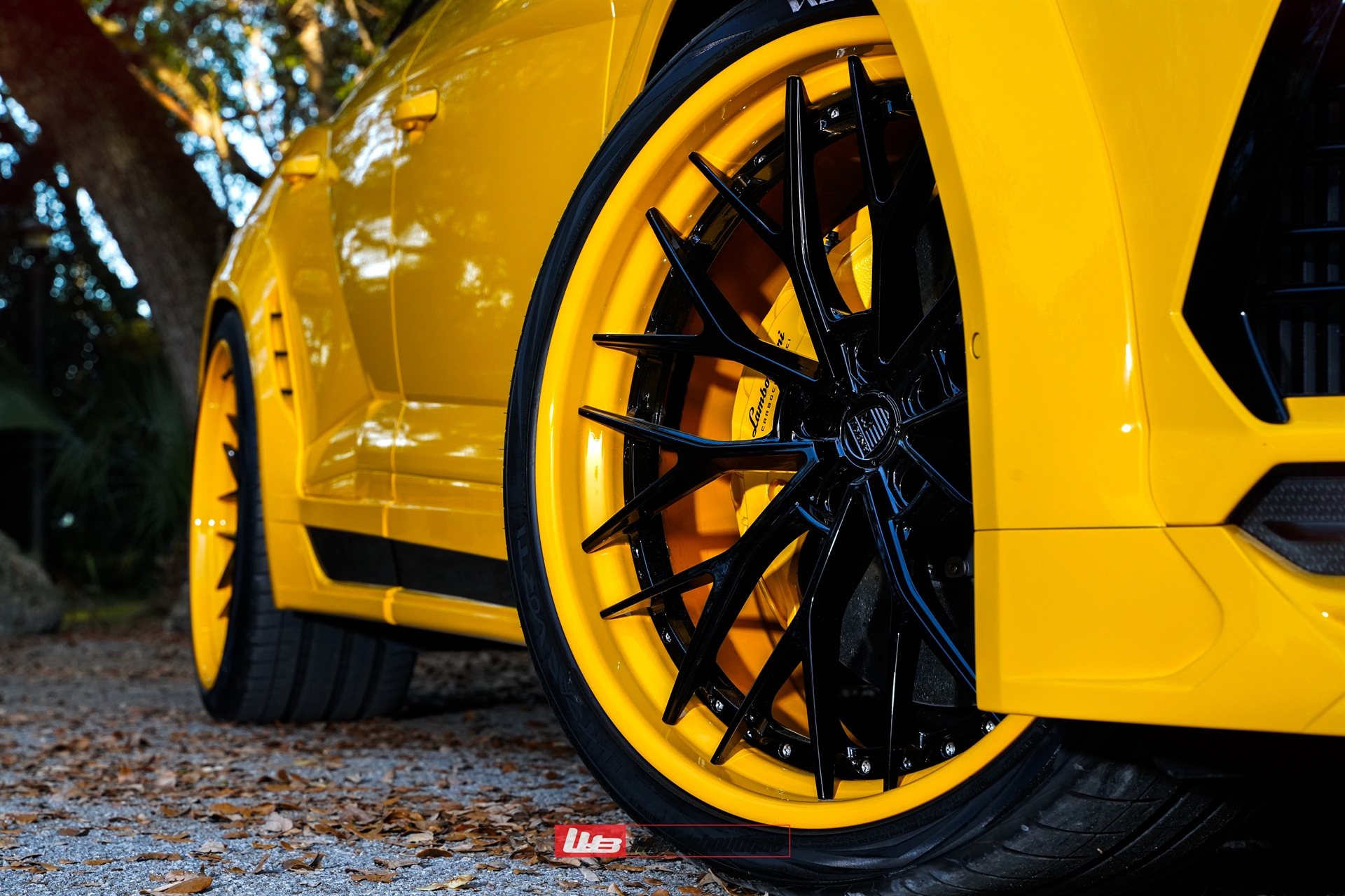 Novitec: Urus | on ANRKY AN30 | Gloss Black