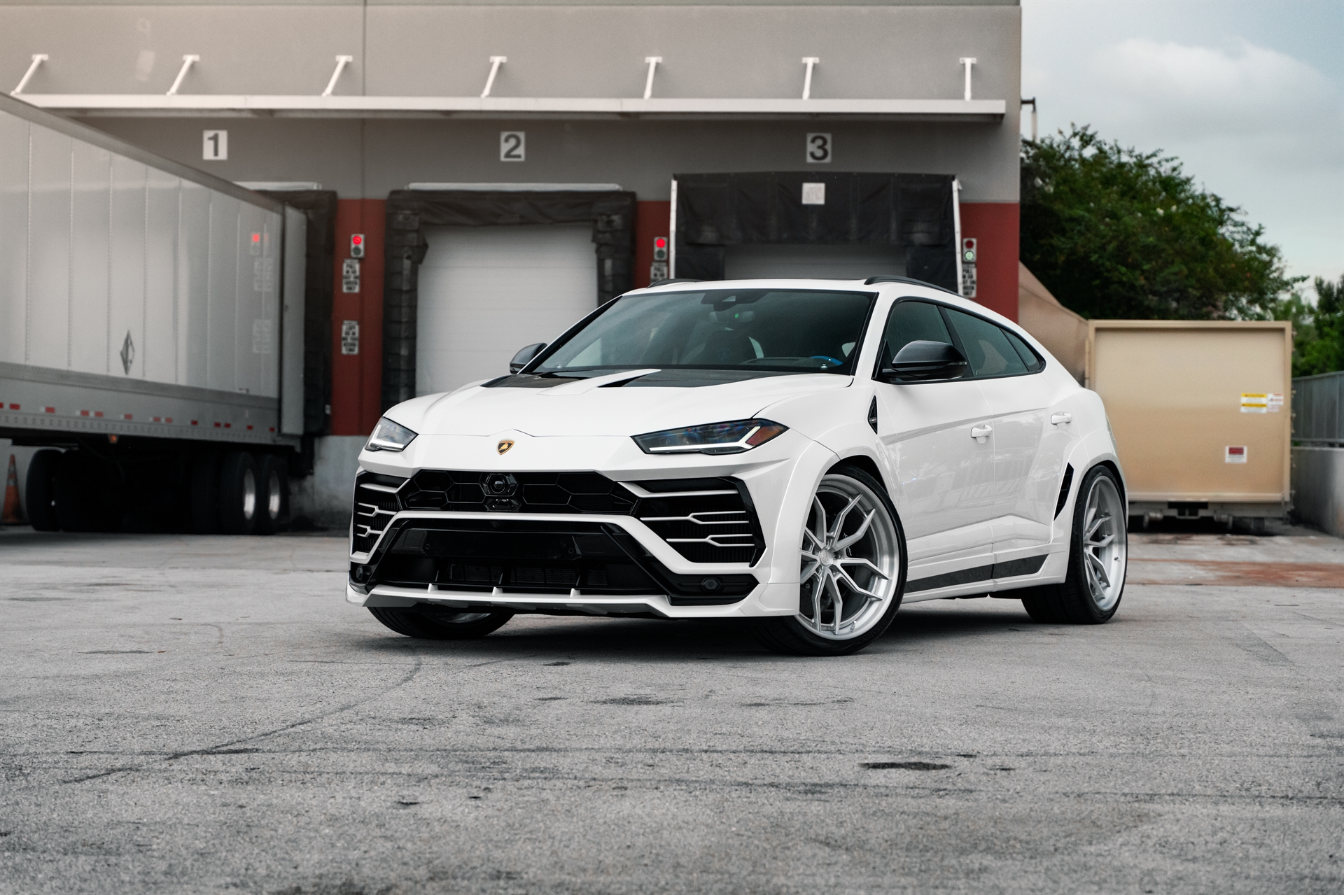 Novitecv: Urus  | | on ANRKY AN31 | Brushed Clear