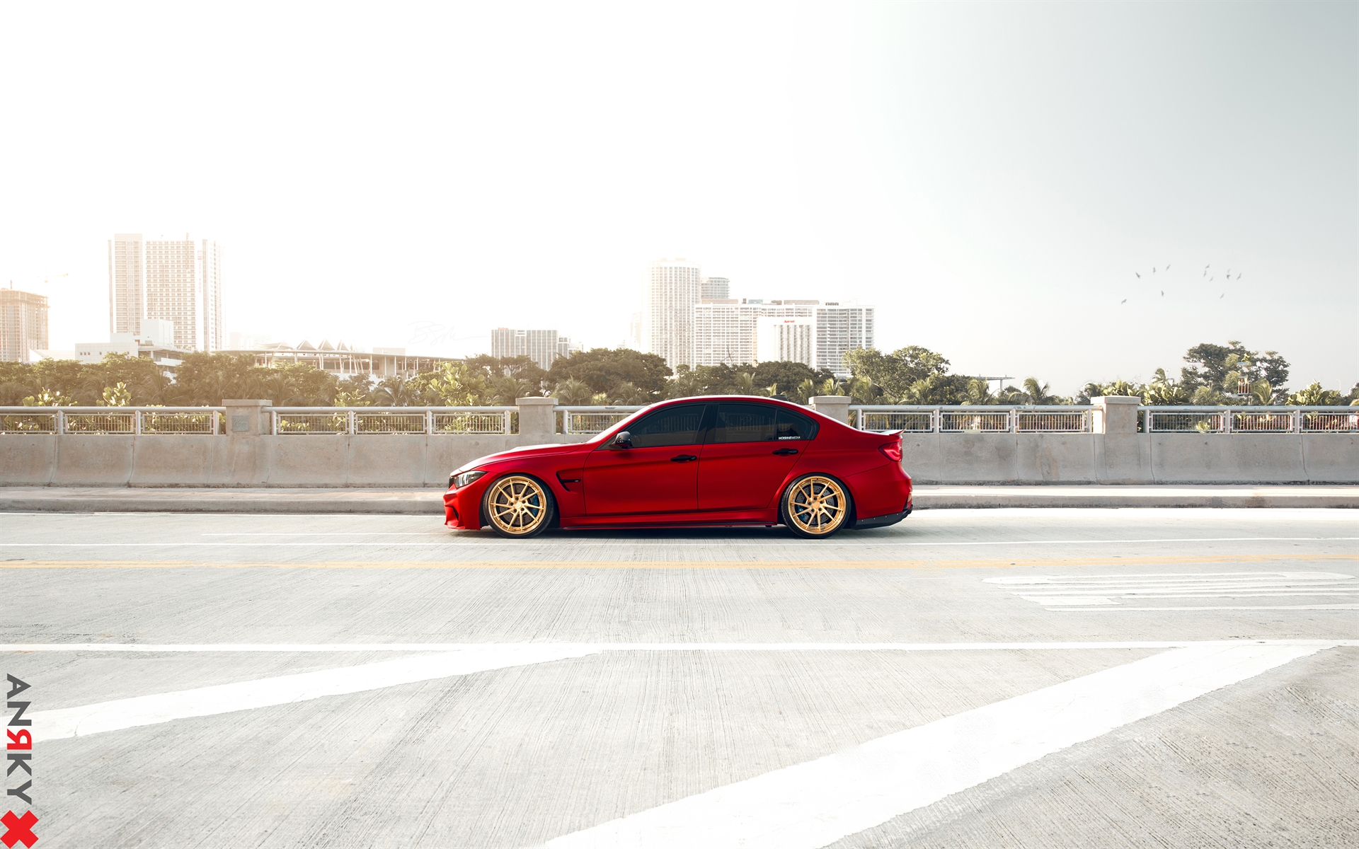 ANRKY AN33 | BMW F80 M3