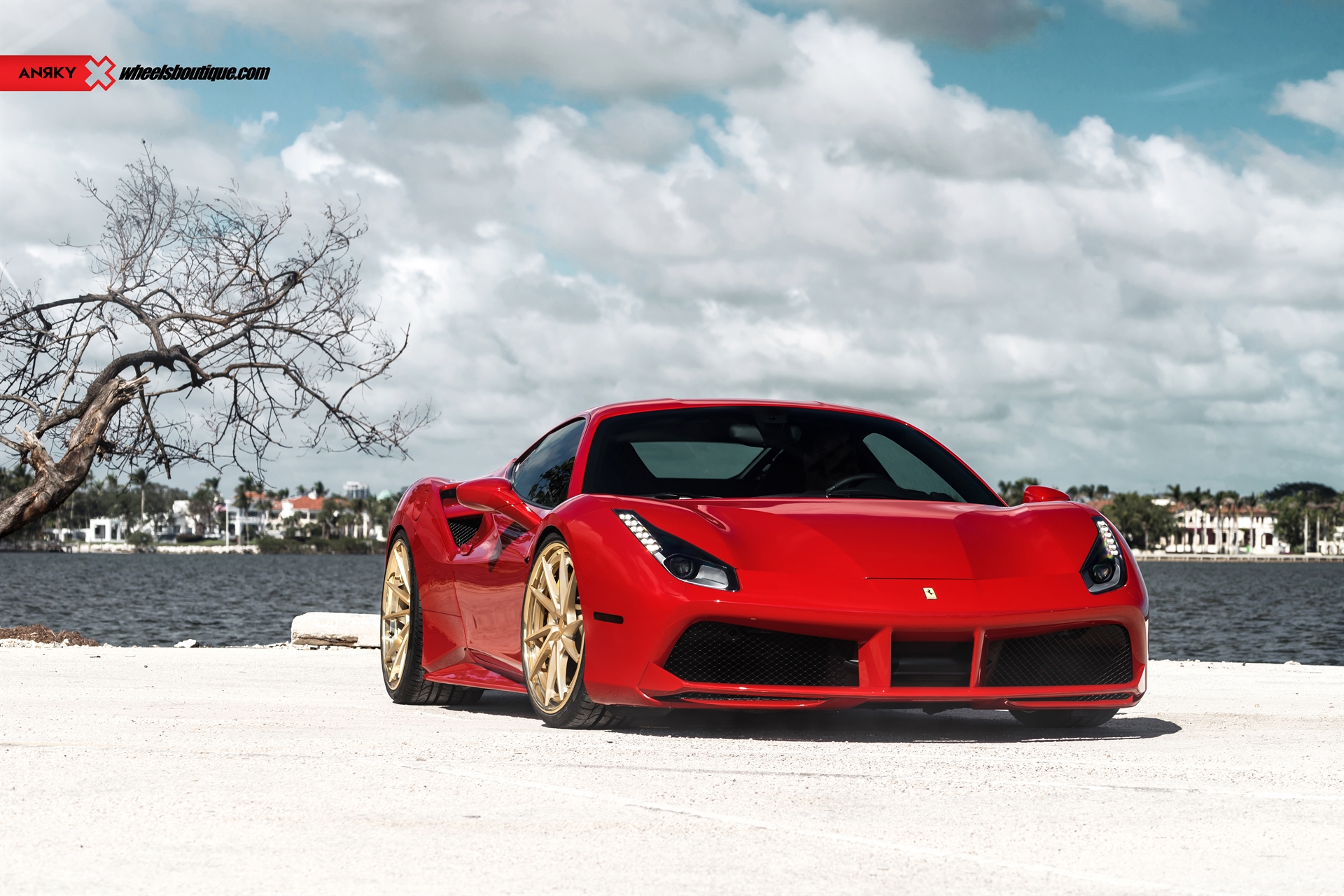 Ferrari 488 | Rosso Corsa | on ANRKY AN33 | Two-Tone: Brushed Satin Gold + Stone Satin Gold Windows