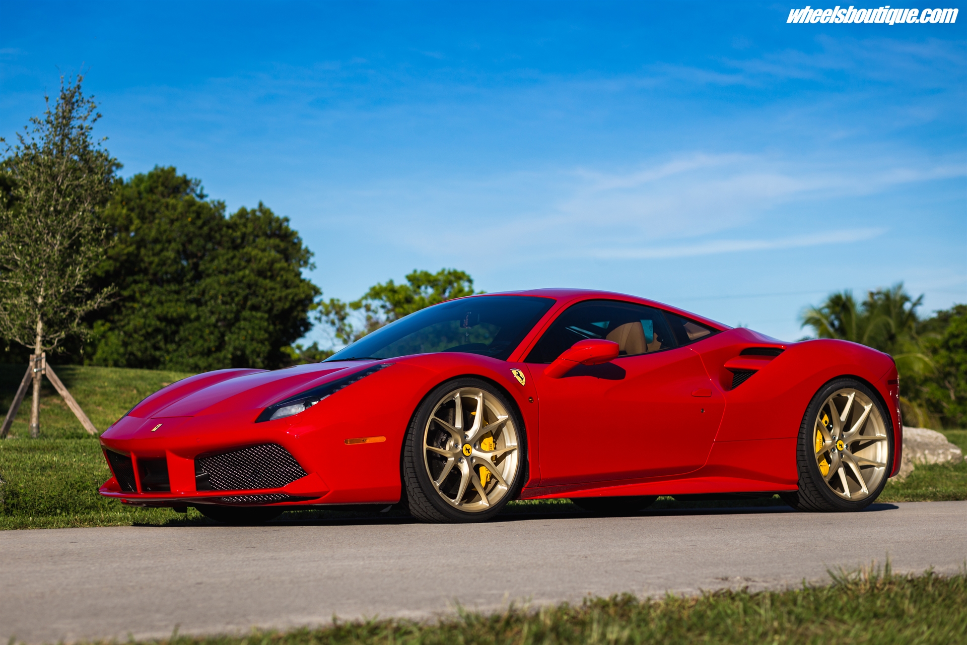 Ferrari 488 | Rosso Corsa | HRE P101 | Satin Champagne