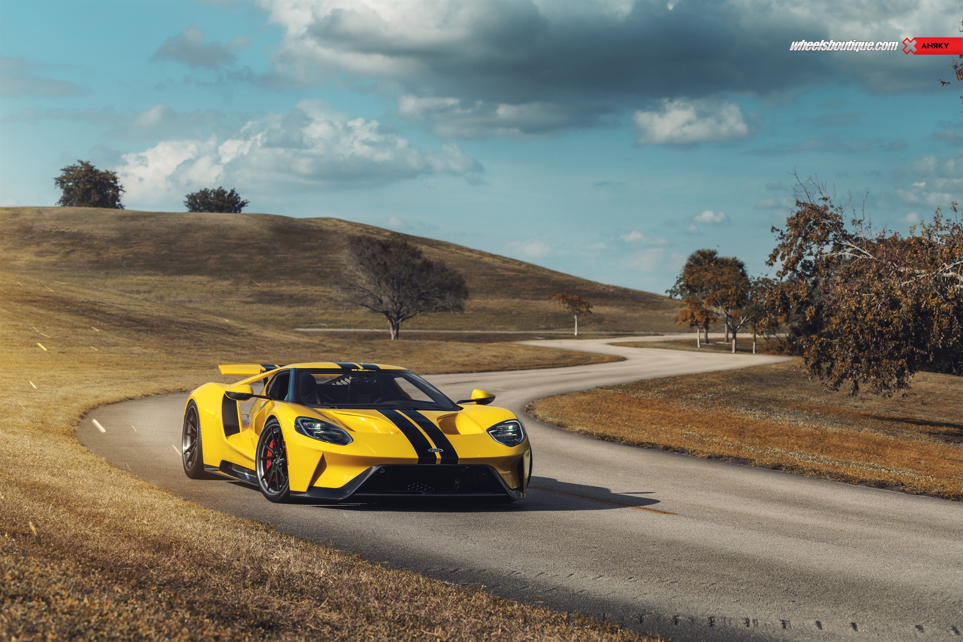 Ford GT MK2 | | on ANRKY AN33 | Satin Black