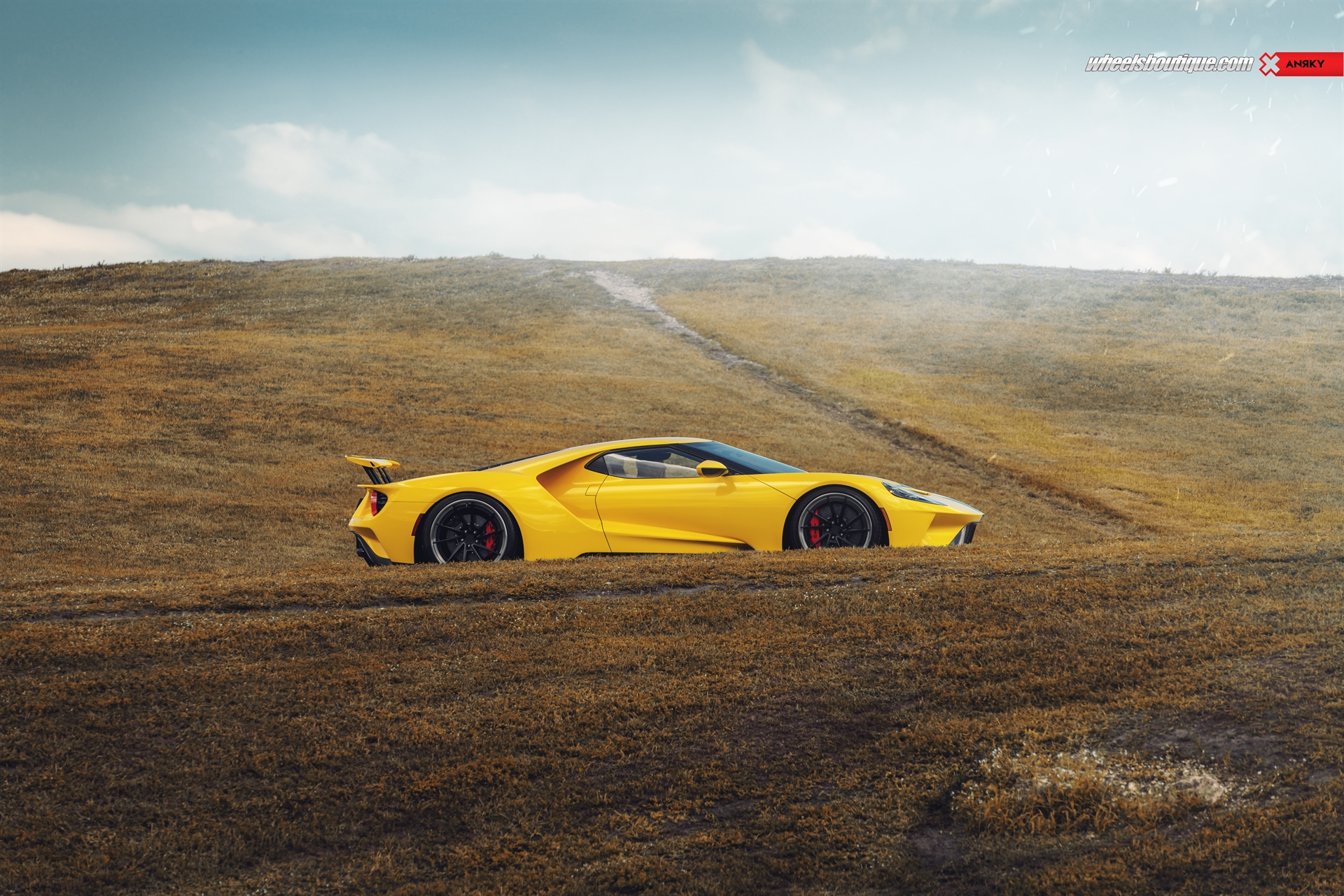 Ford GT MK2 | | on ANRKY AN33 | Satin Black