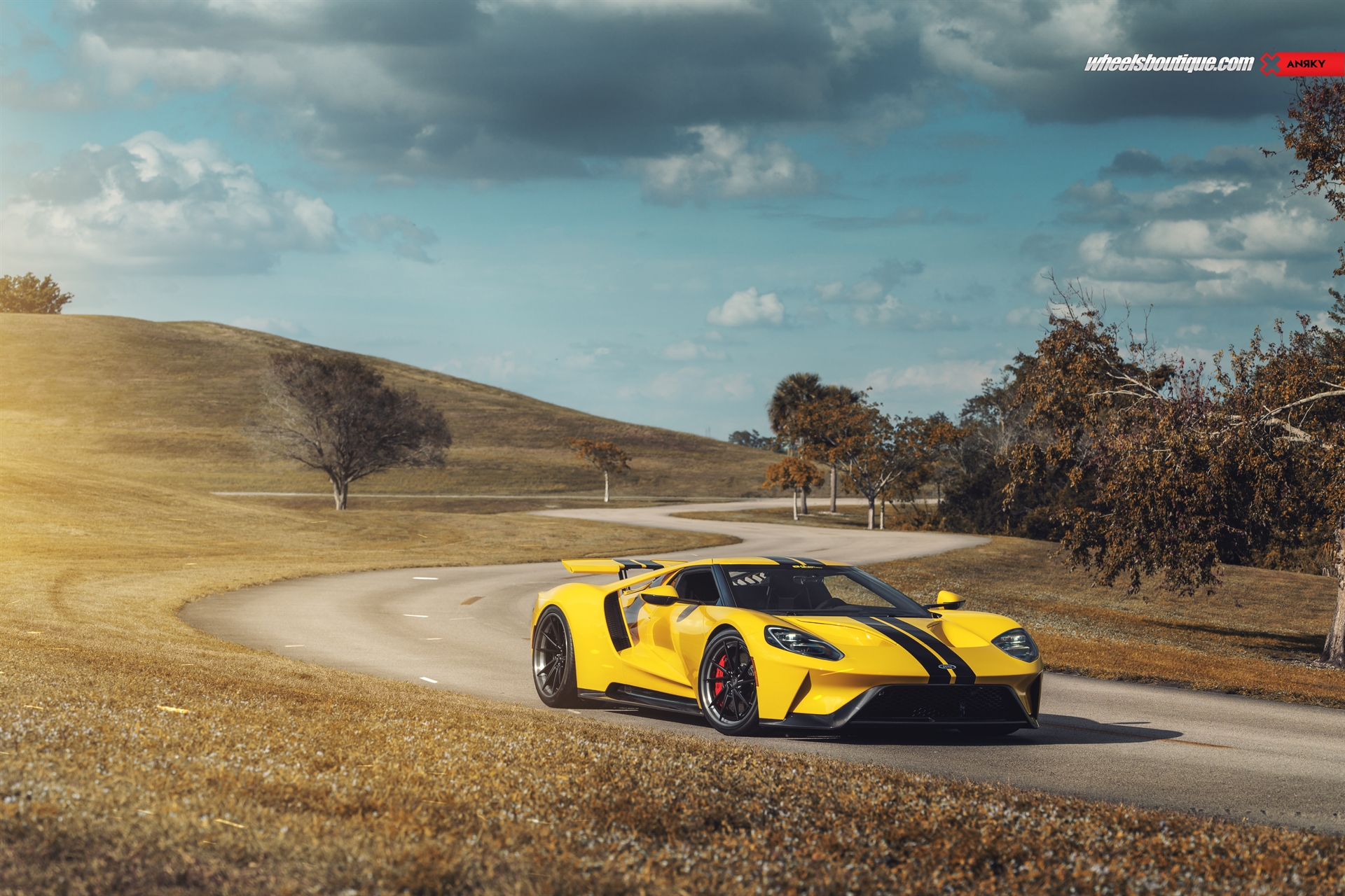 Ford GT MK2 | | on ANRKY AN33 | Satin Black