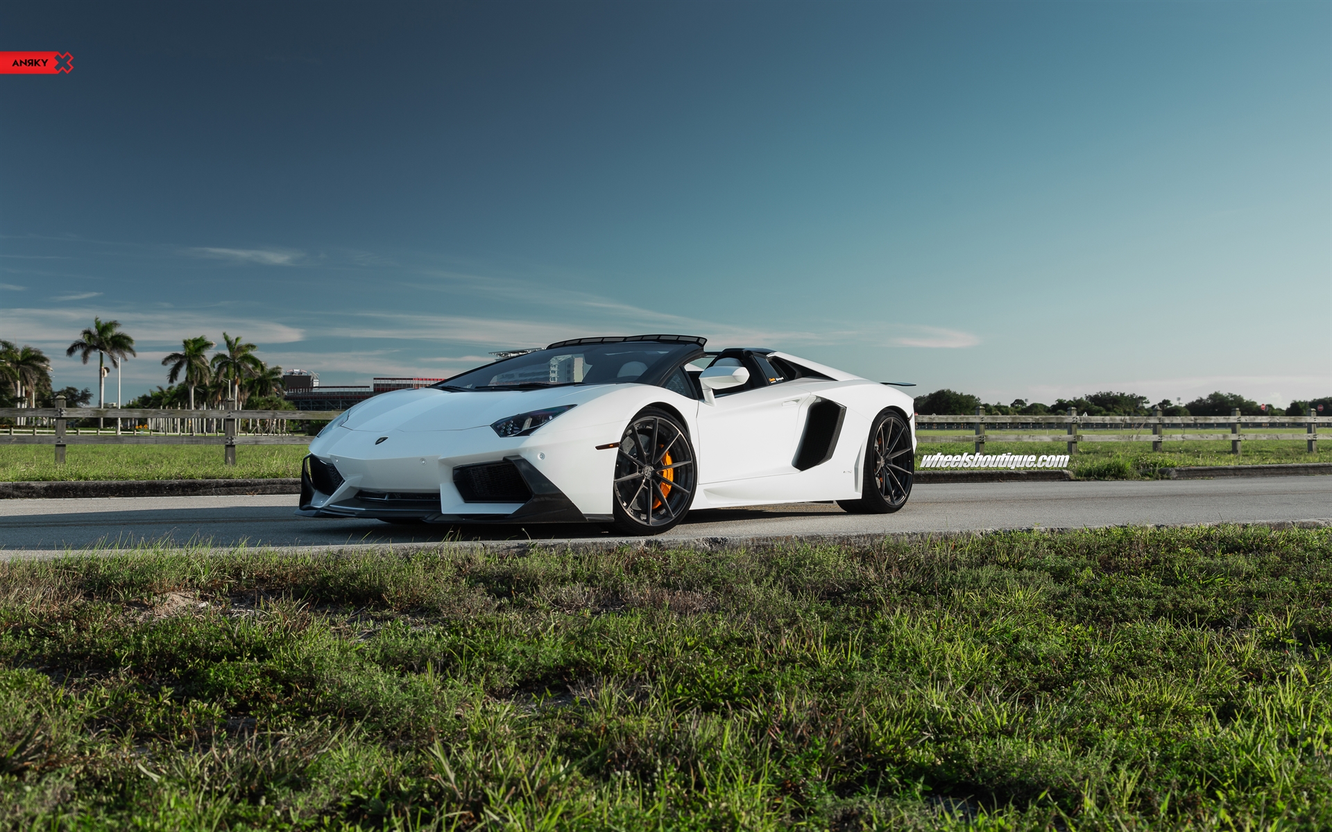 Lamborghini Aventador Roadster | | on ANRKY AN28 | Brushed Dark Clear