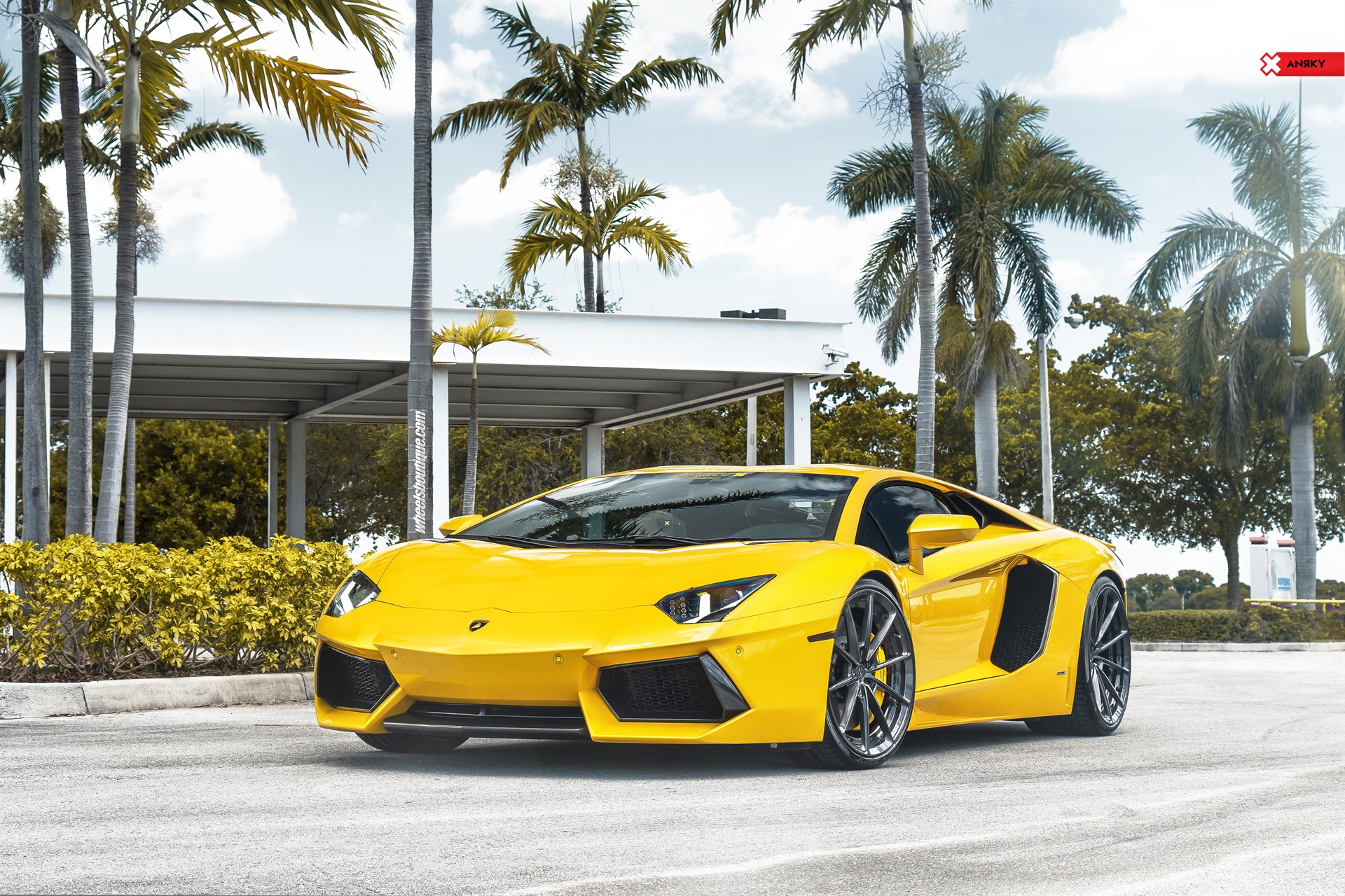 Lamborghini Aventador |  | on ANRKY AN28 | Brushed Dark Clear