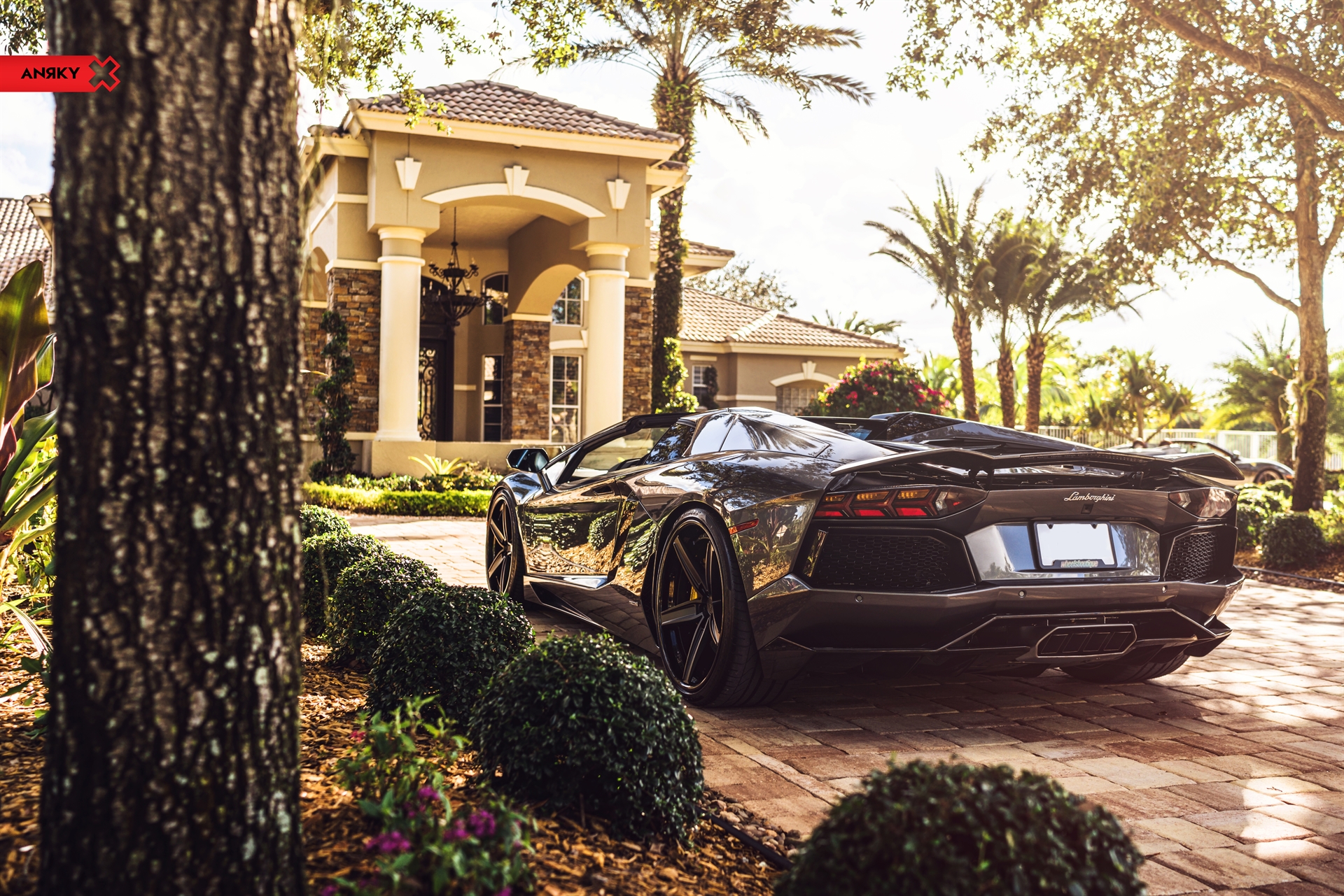 Lamborghini Aventador | | on ANRKY AN35 | Satin Black
