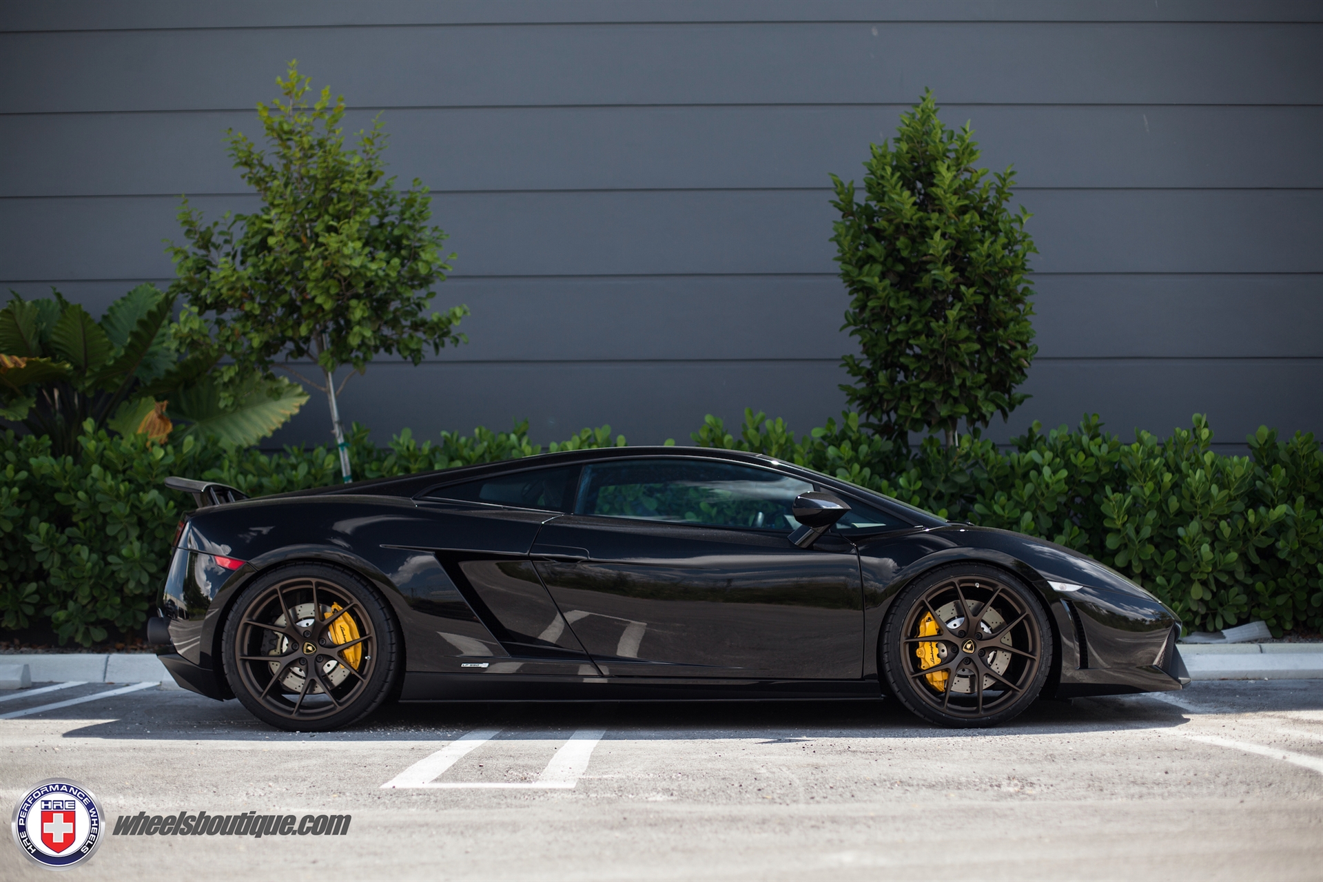 Lamborghini Gallardo | | on HRE P101 | Satin Bronze