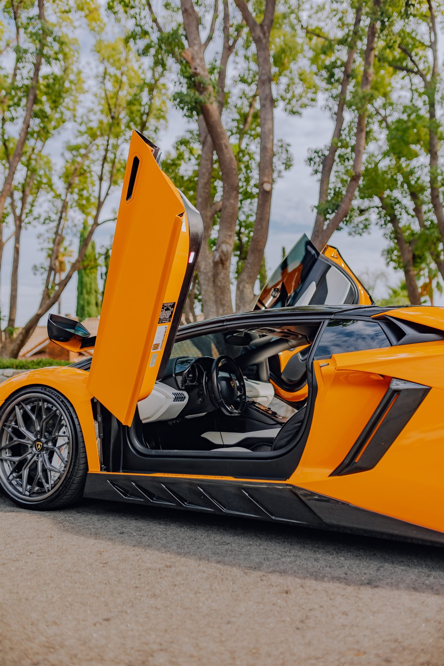 AL13 R80 | Lamborghini Aventador 1