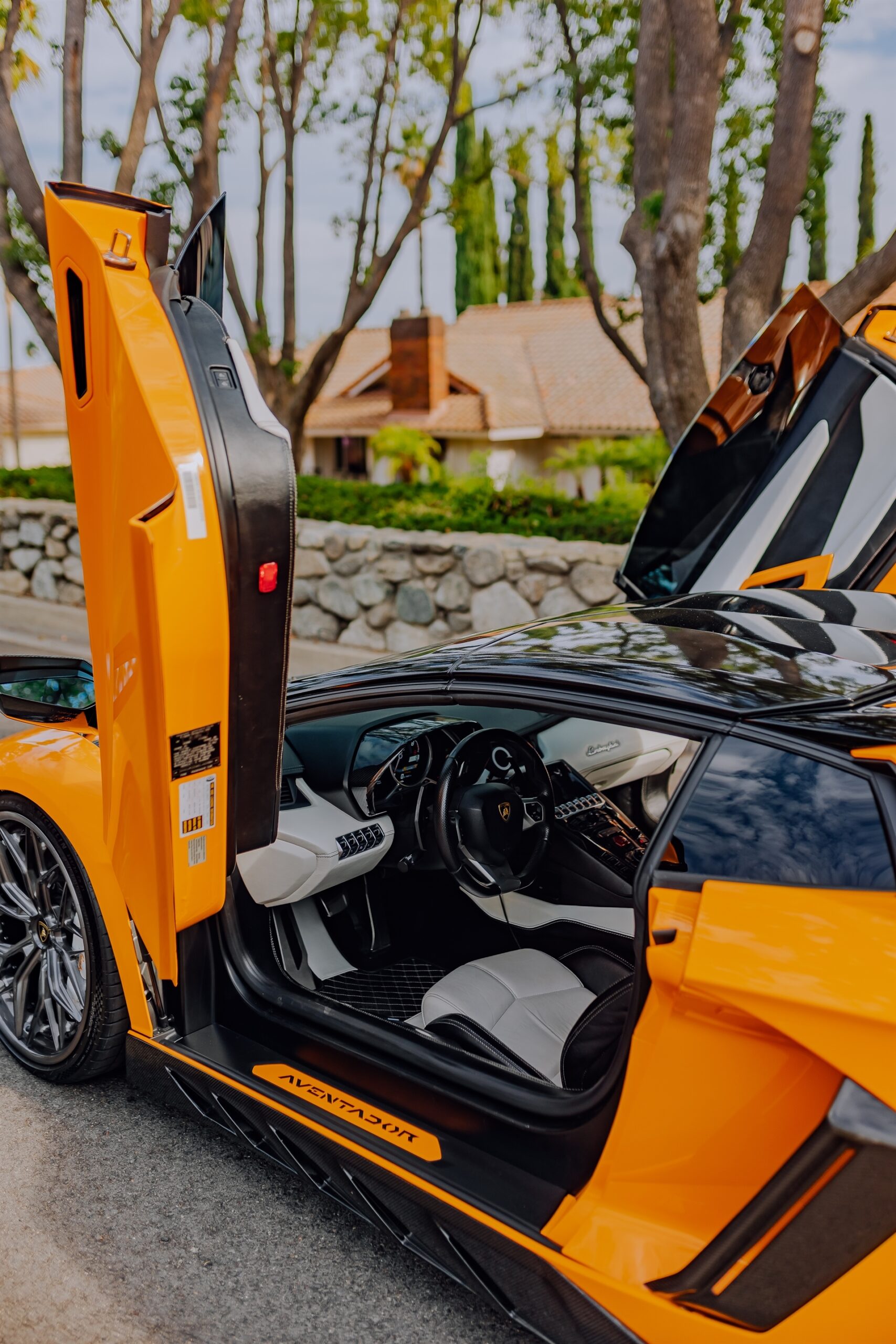 AL13 R80 | Lamborghini Aventador 1