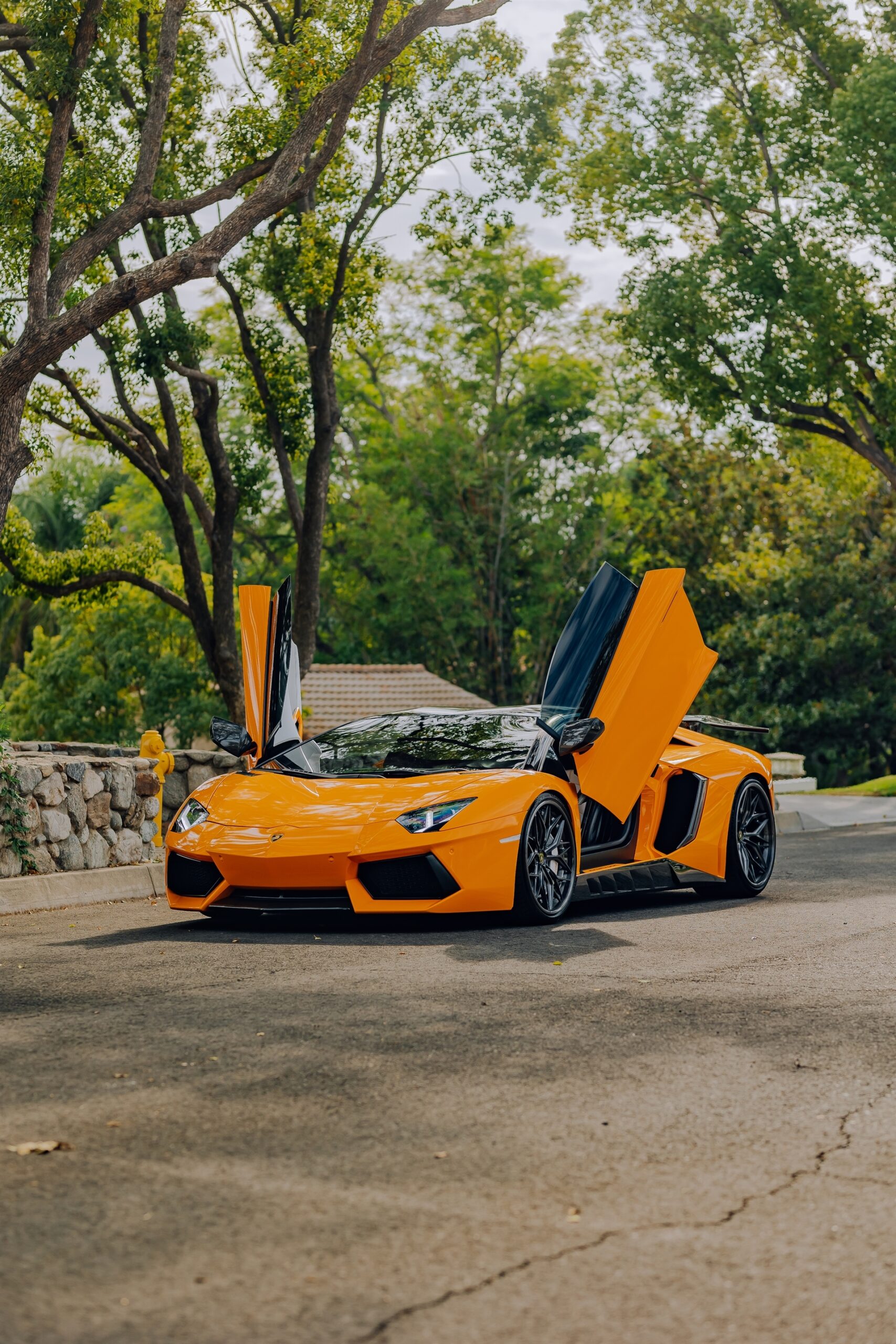 AL13 R80 | Lamborghini Aventador 1