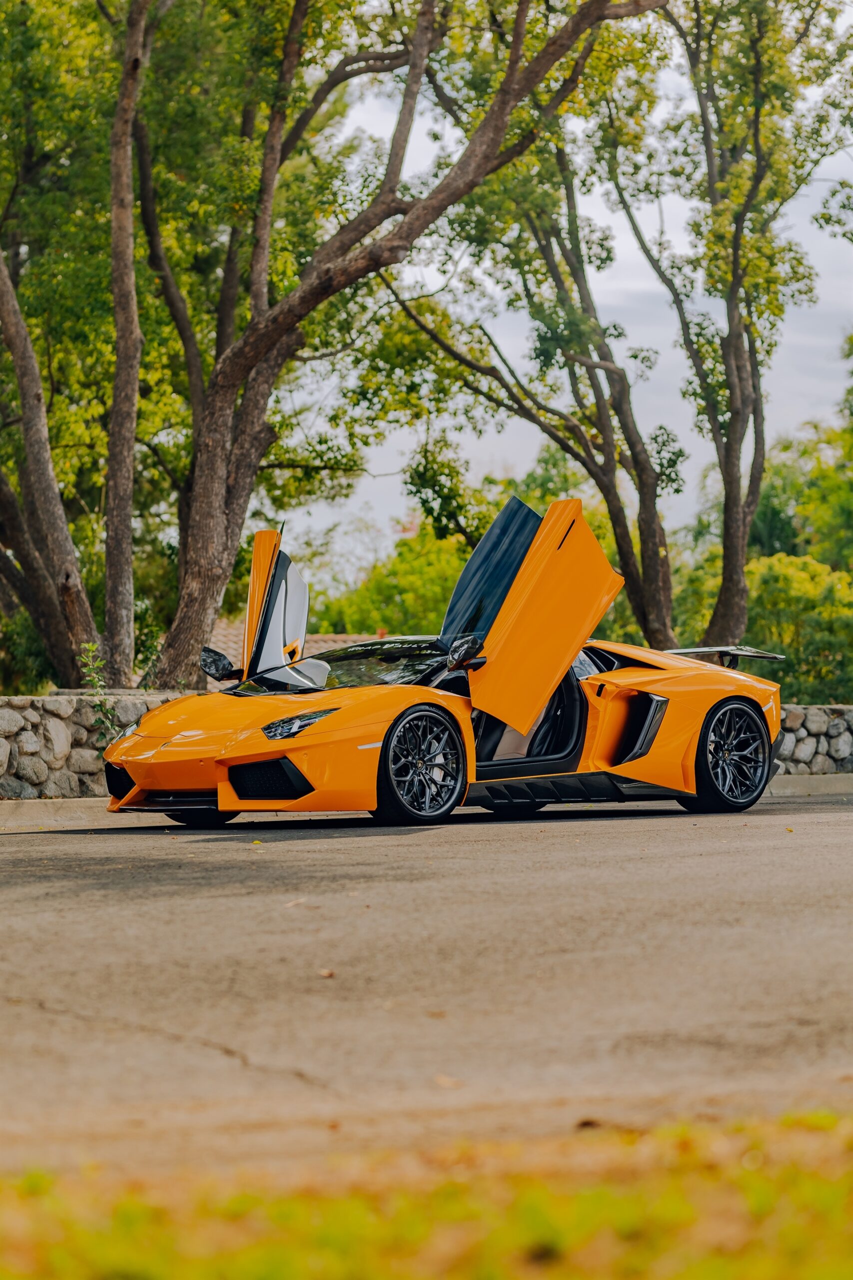 AL13 R80 | Lamborghini Aventador 1
