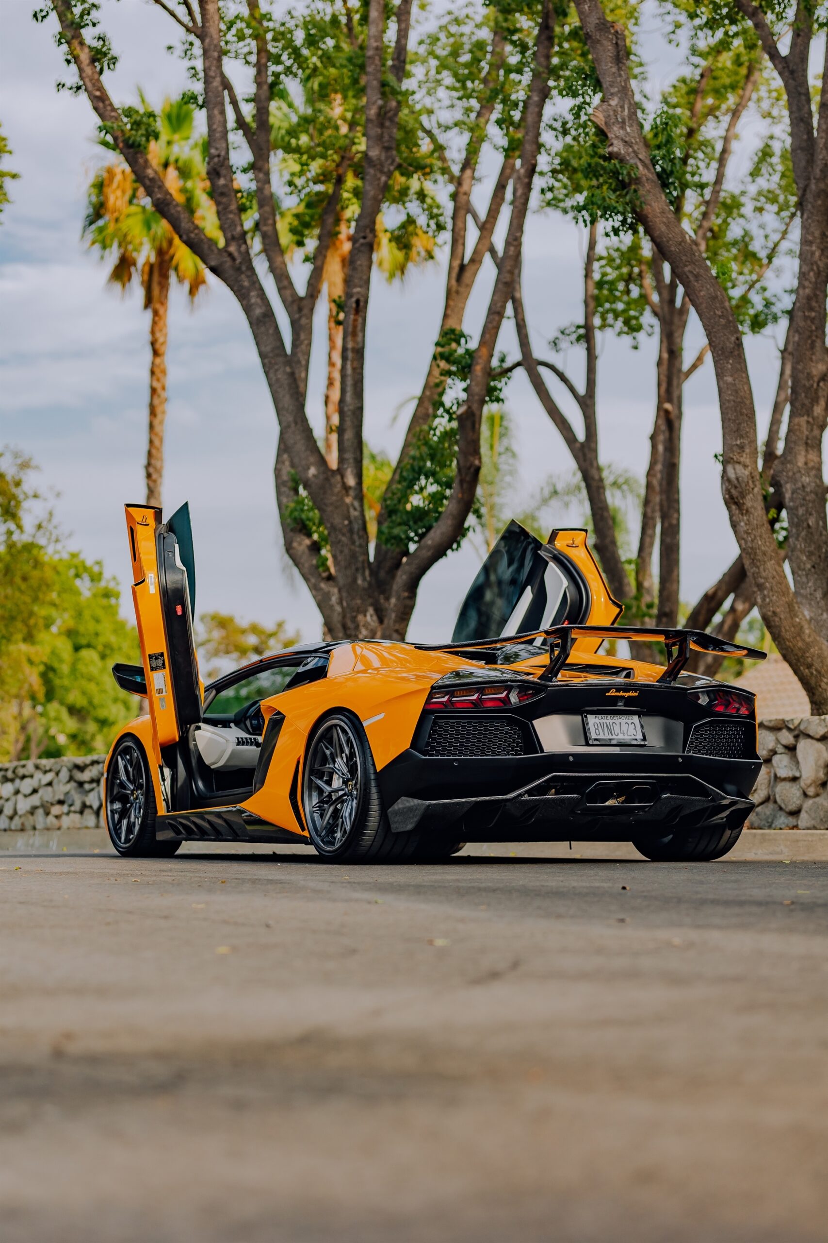 AL13 R80 | Lamborghini Aventador 1