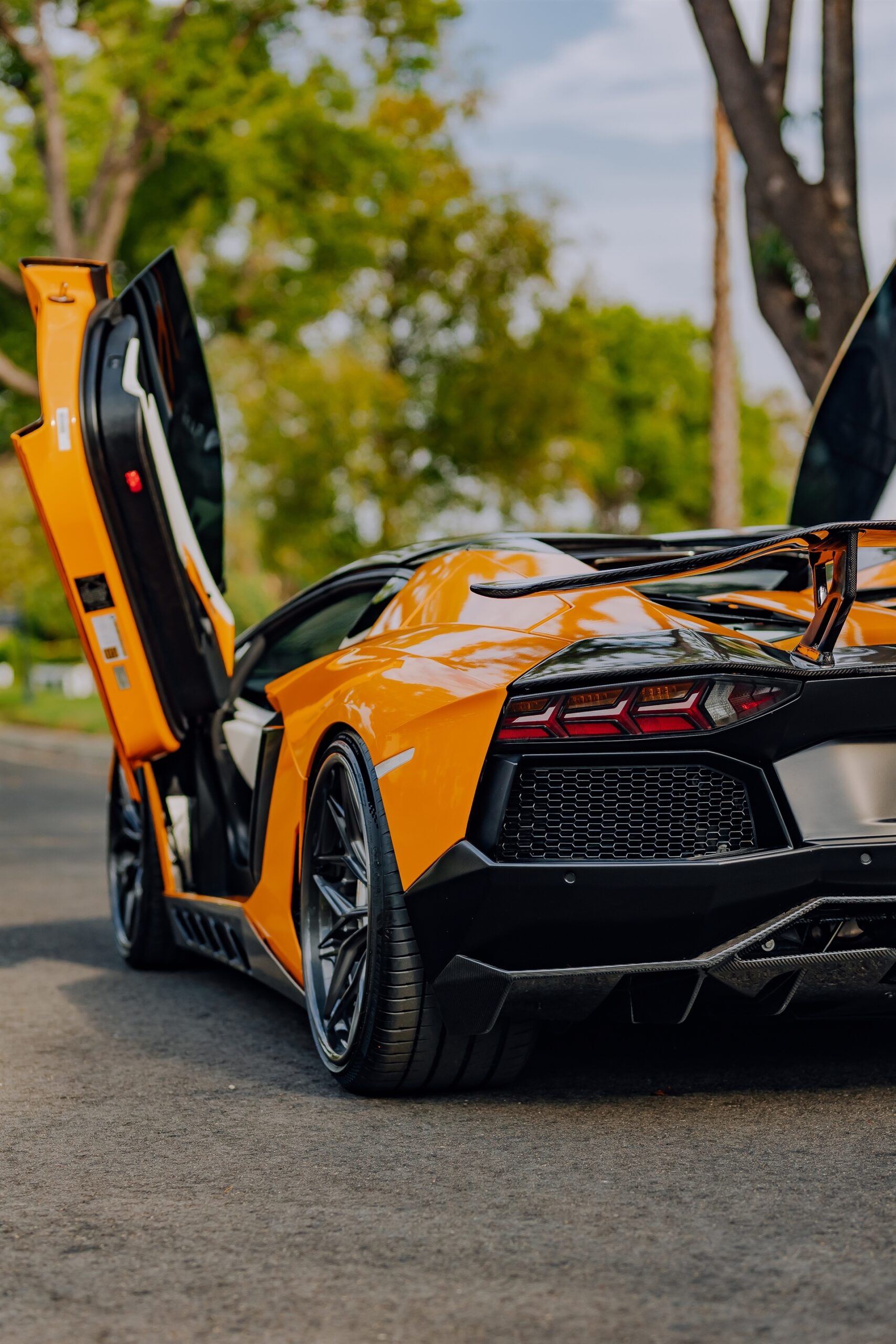 AL13 R80 | Lamborghini Aventador 1