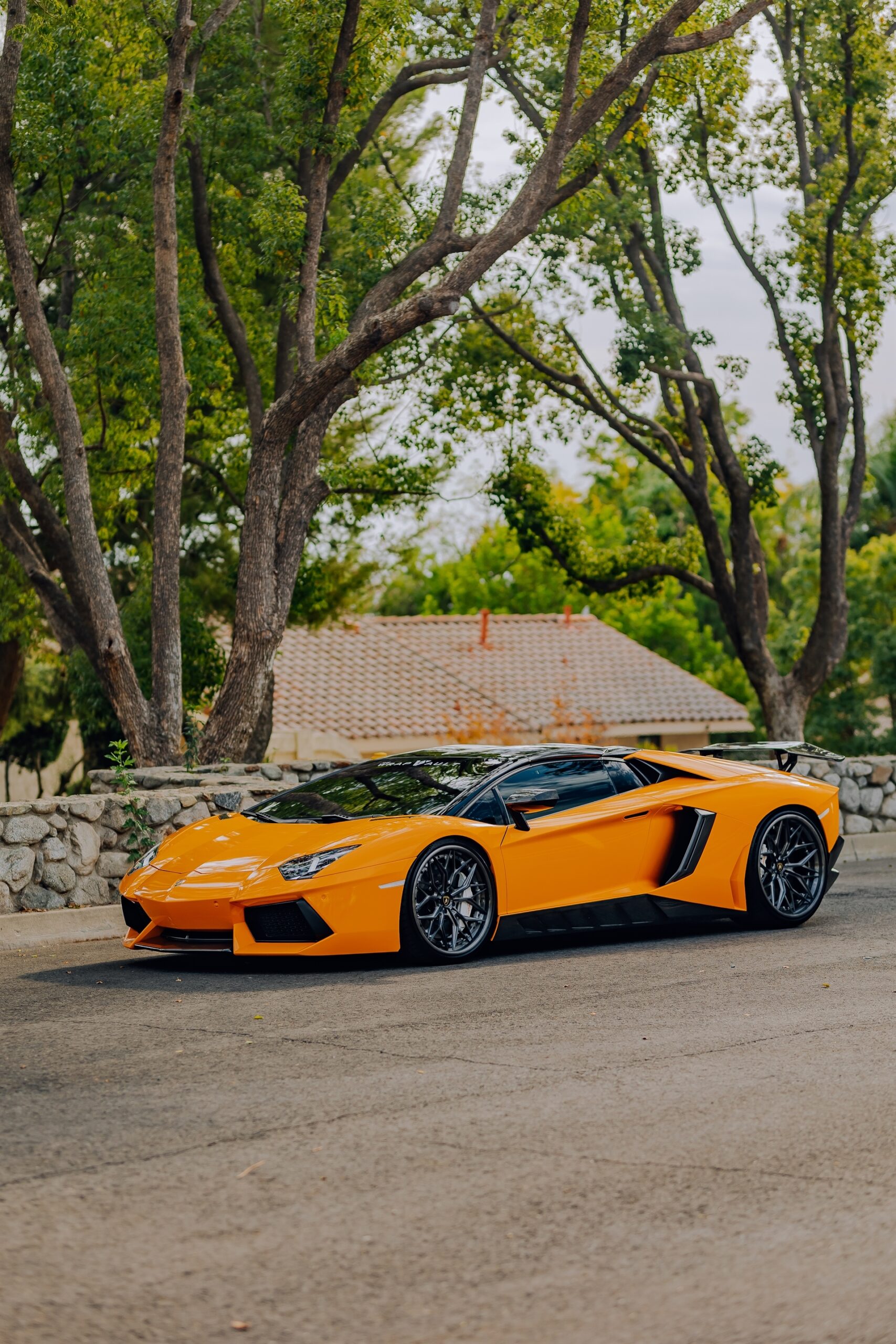 AL13 R80 | Lamborghini Aventador 1